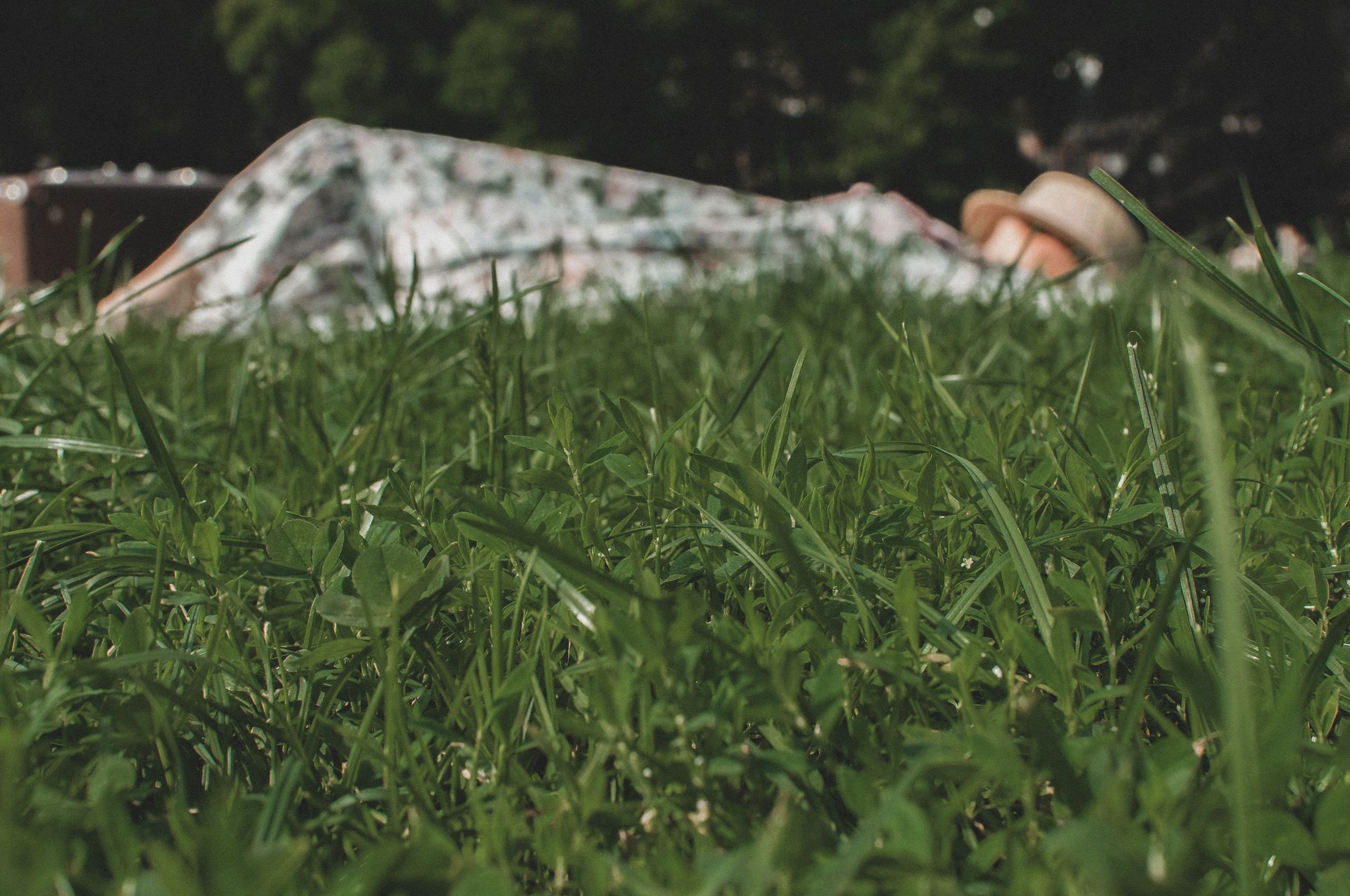 Надя. Портретный, семейный фотограф Марина Моисеева