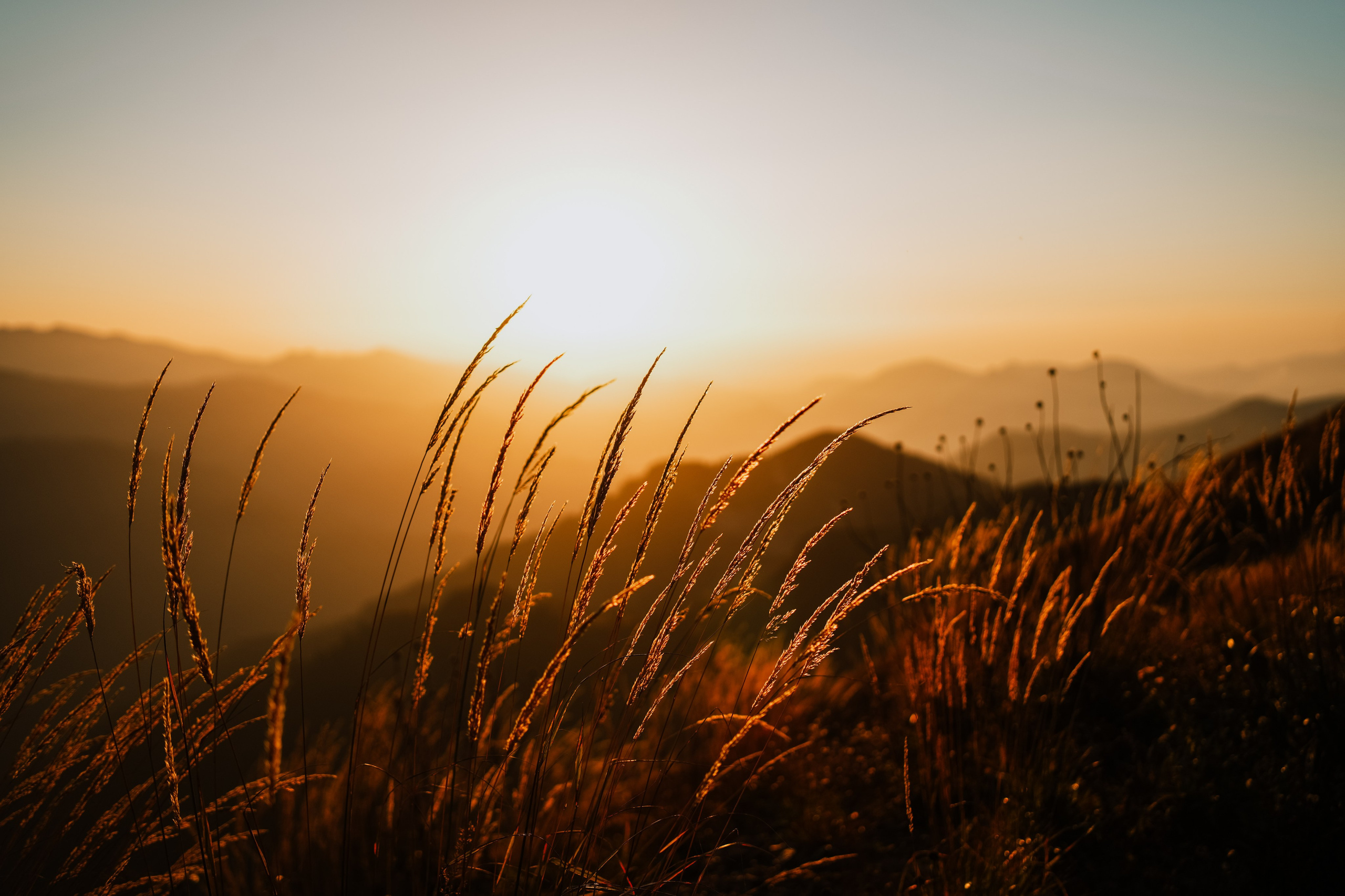 Роза Пик, тропа Турья ✽ Октябрь. Репортажный фотограф | Роза Хутор Красная Поляна Сочи Сириус