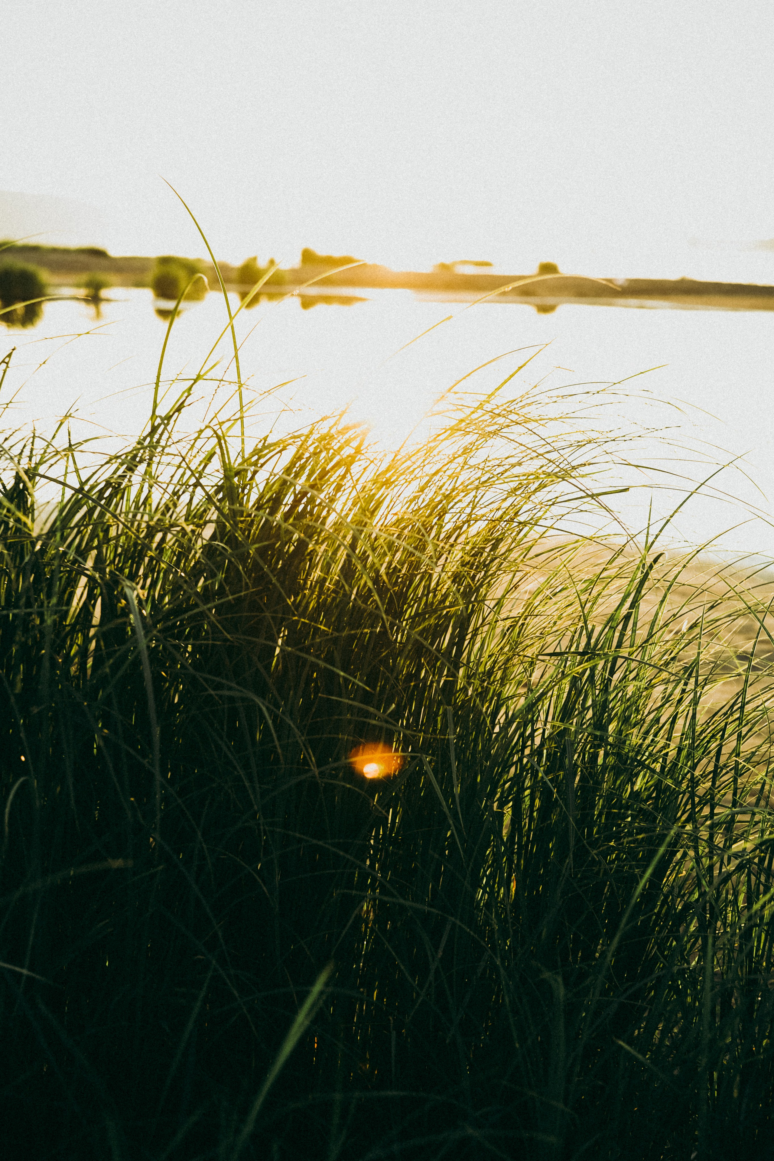 Алина. Фотограф Астафьева Мария