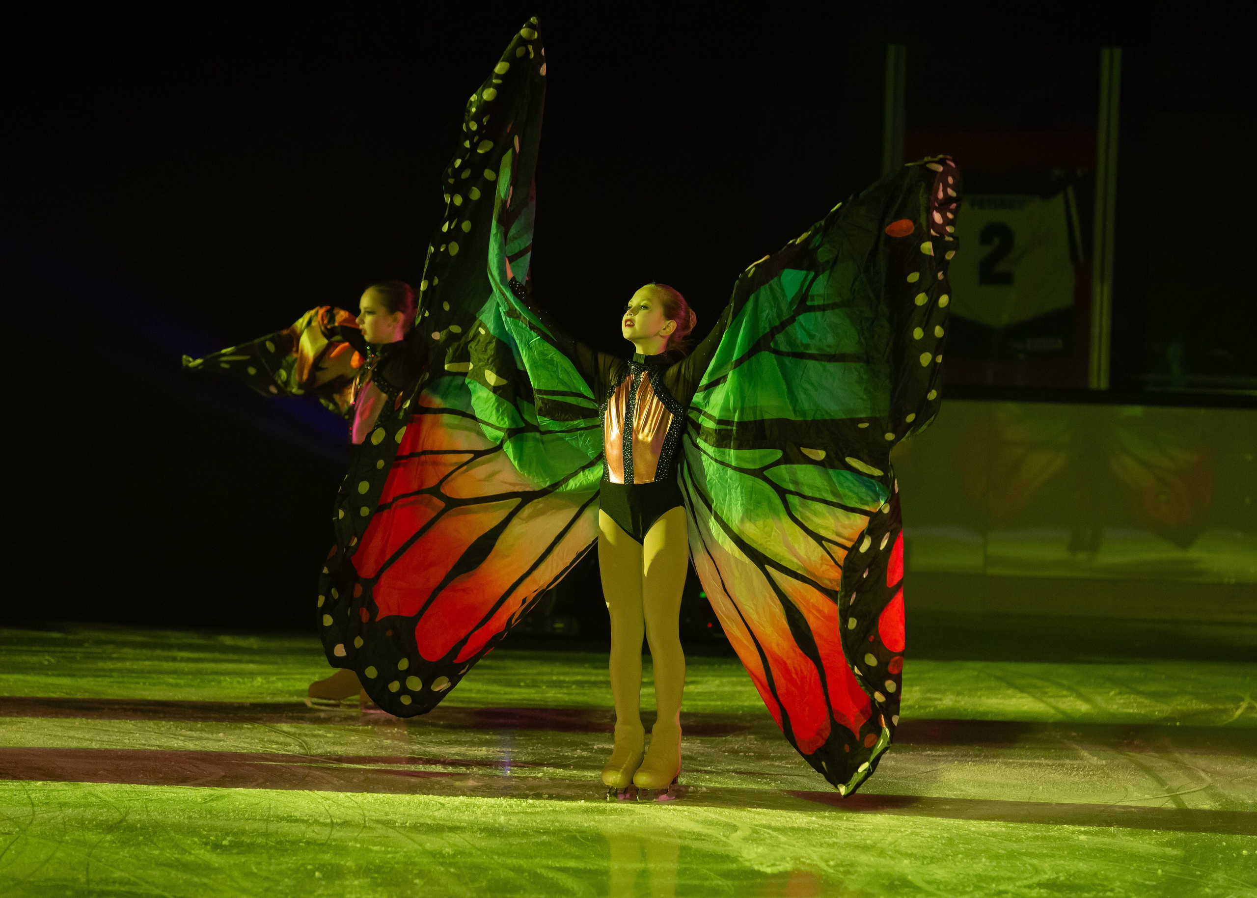 Сказочное ледовое шоу Конек Горбунок. Детский театр на льду АЛЕКО