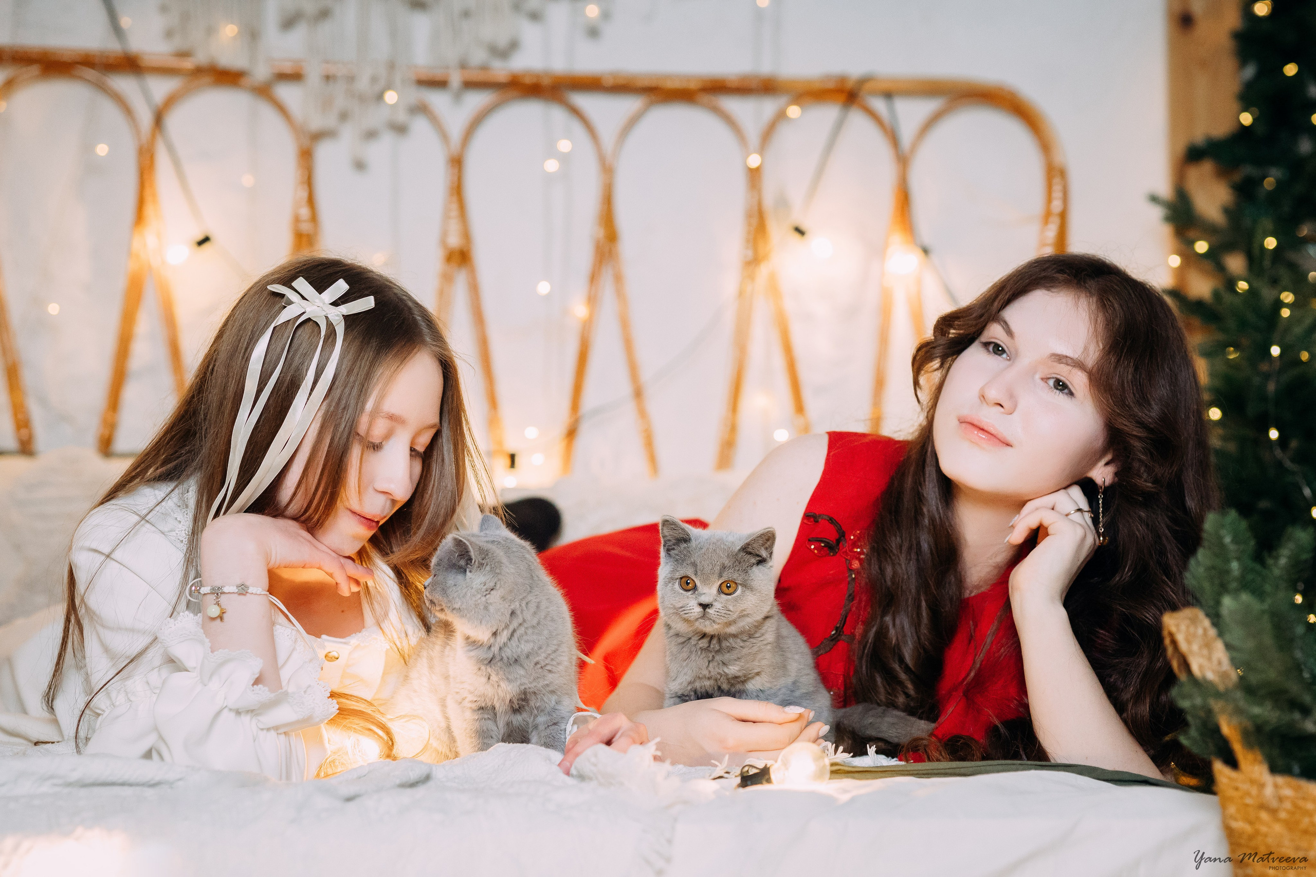 Новый год с котятами. Фотограф Яна Матвеева в Ижевске