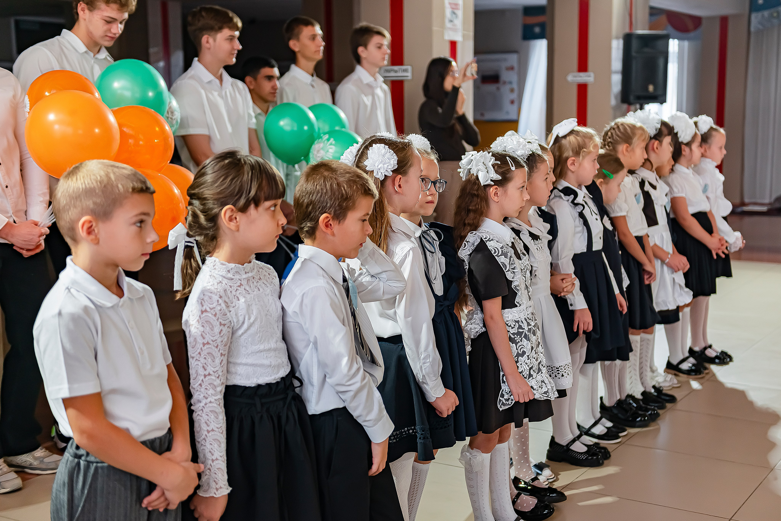 1 «В» | Гимназия № 3| г. Белгород |2024. ALBUMIA