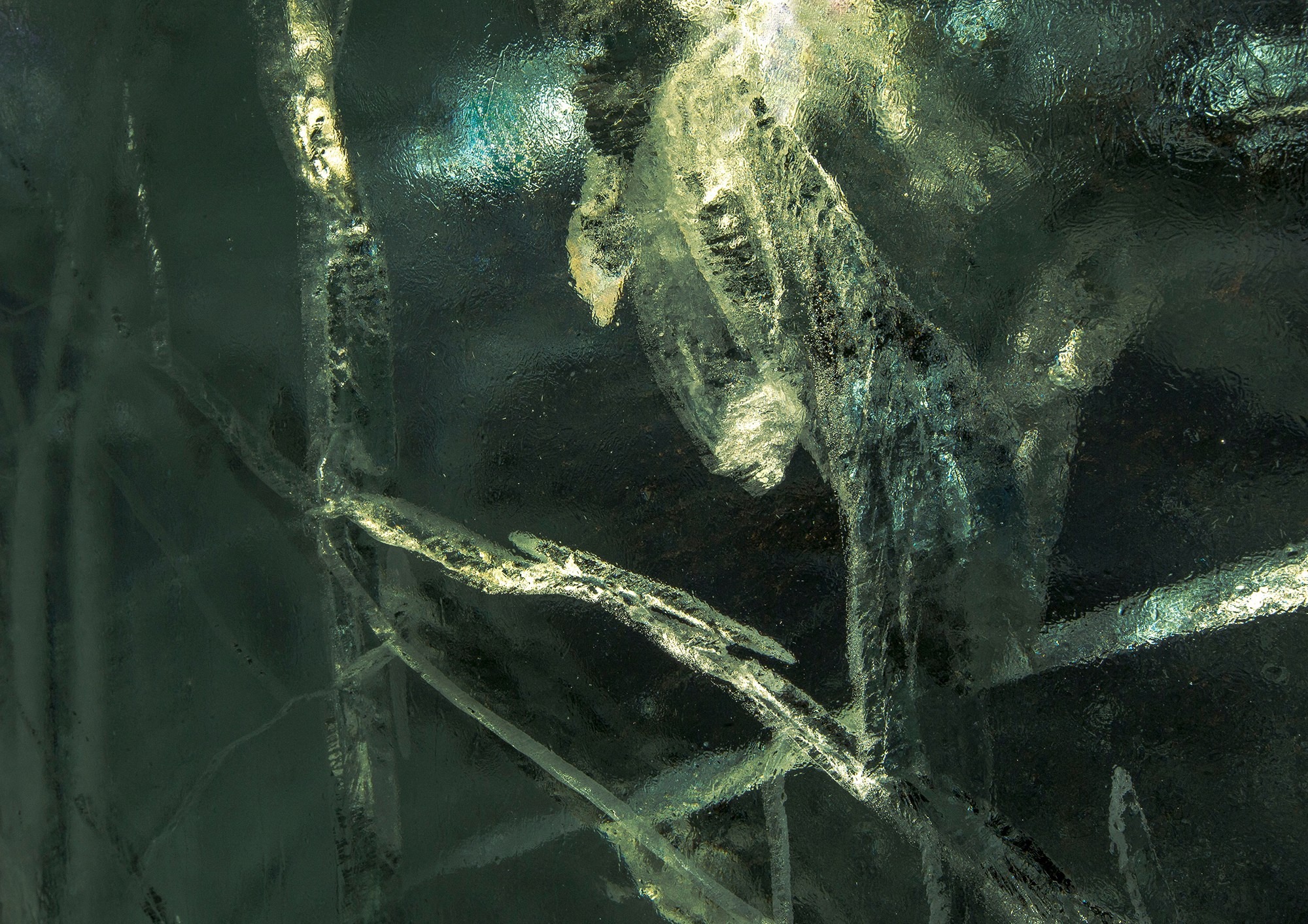 «Мы здесь». Фотограф Переверзева Наталья / Ханты-Мансийск