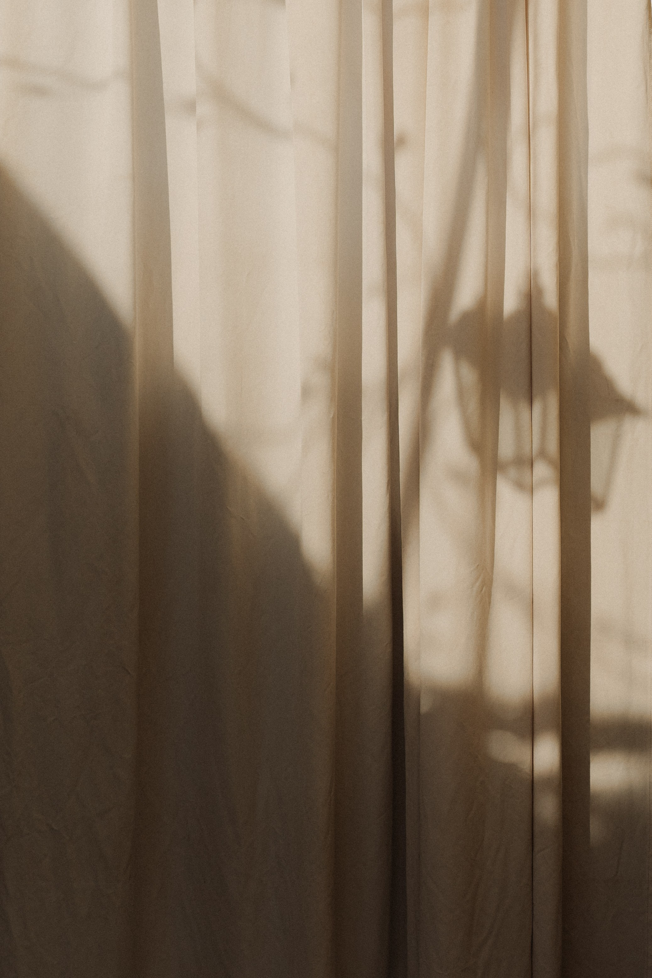 Palazzo Guiscardo | Pietrasanta