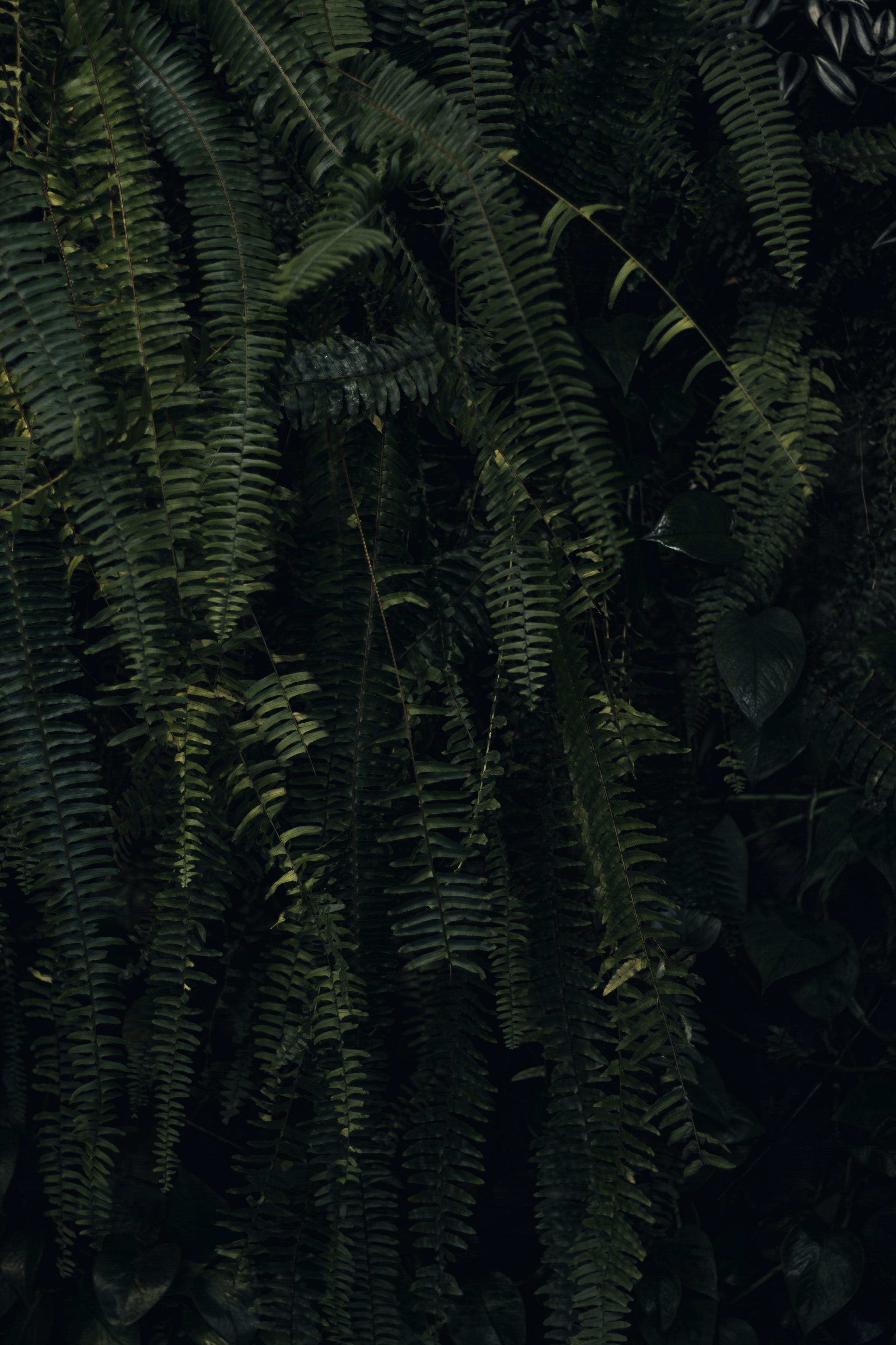 Мрачные. Фотограф в Новокузнецке