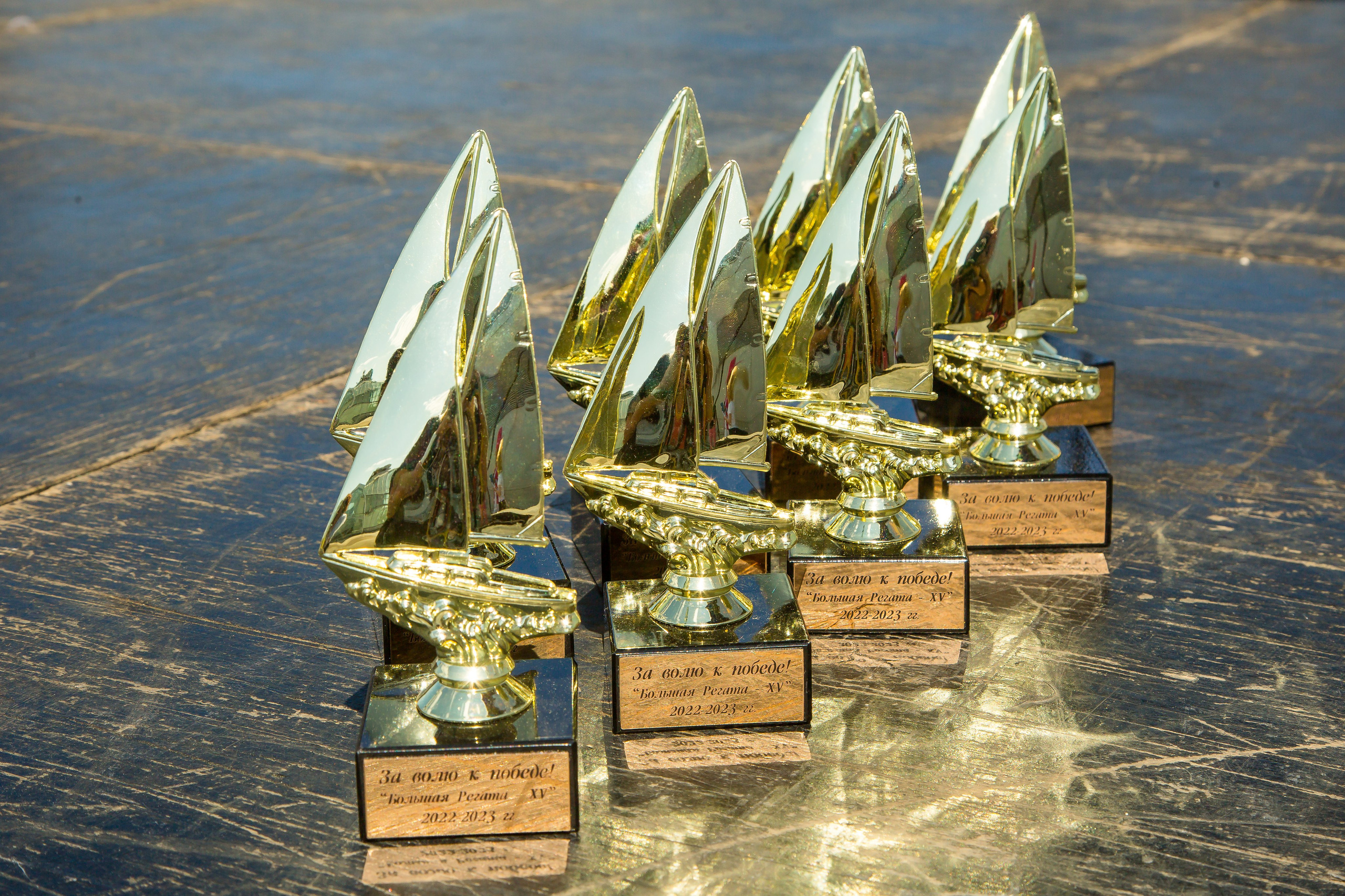 ОКЕАНАРИУМ БОЛЬШАЯ РЕГАТА 2023. Главная