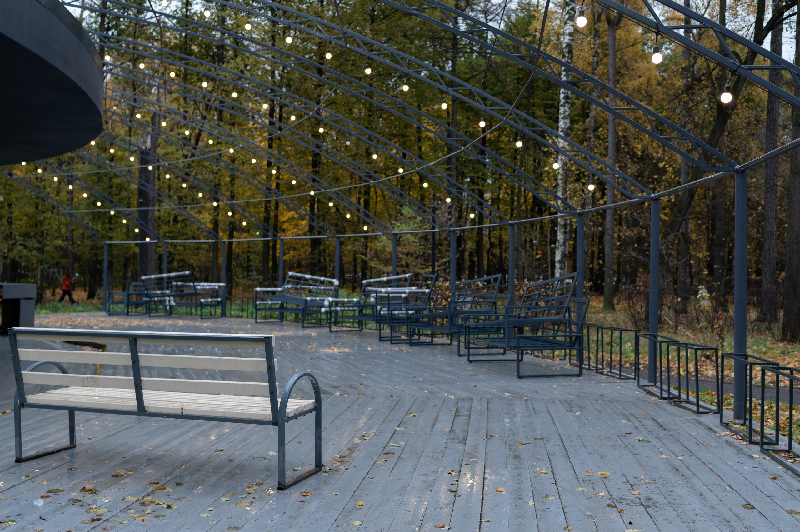 20241026 Сокольники. Дмитрий Ремизов. Фотография, как хобби