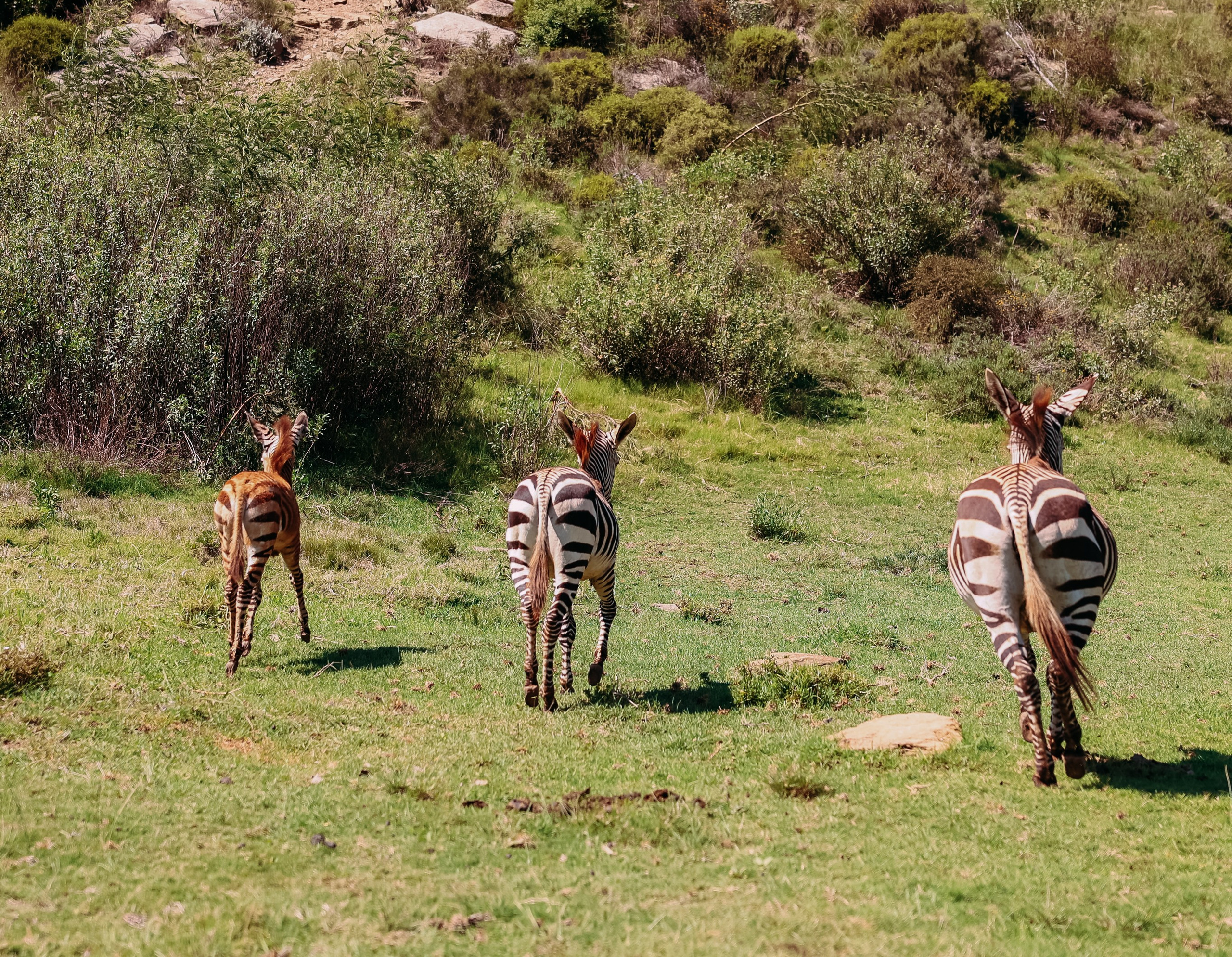 ФОТО ТУРЫ ПО МИРУ. Фотограф Марина Аблаева-Кожедуб