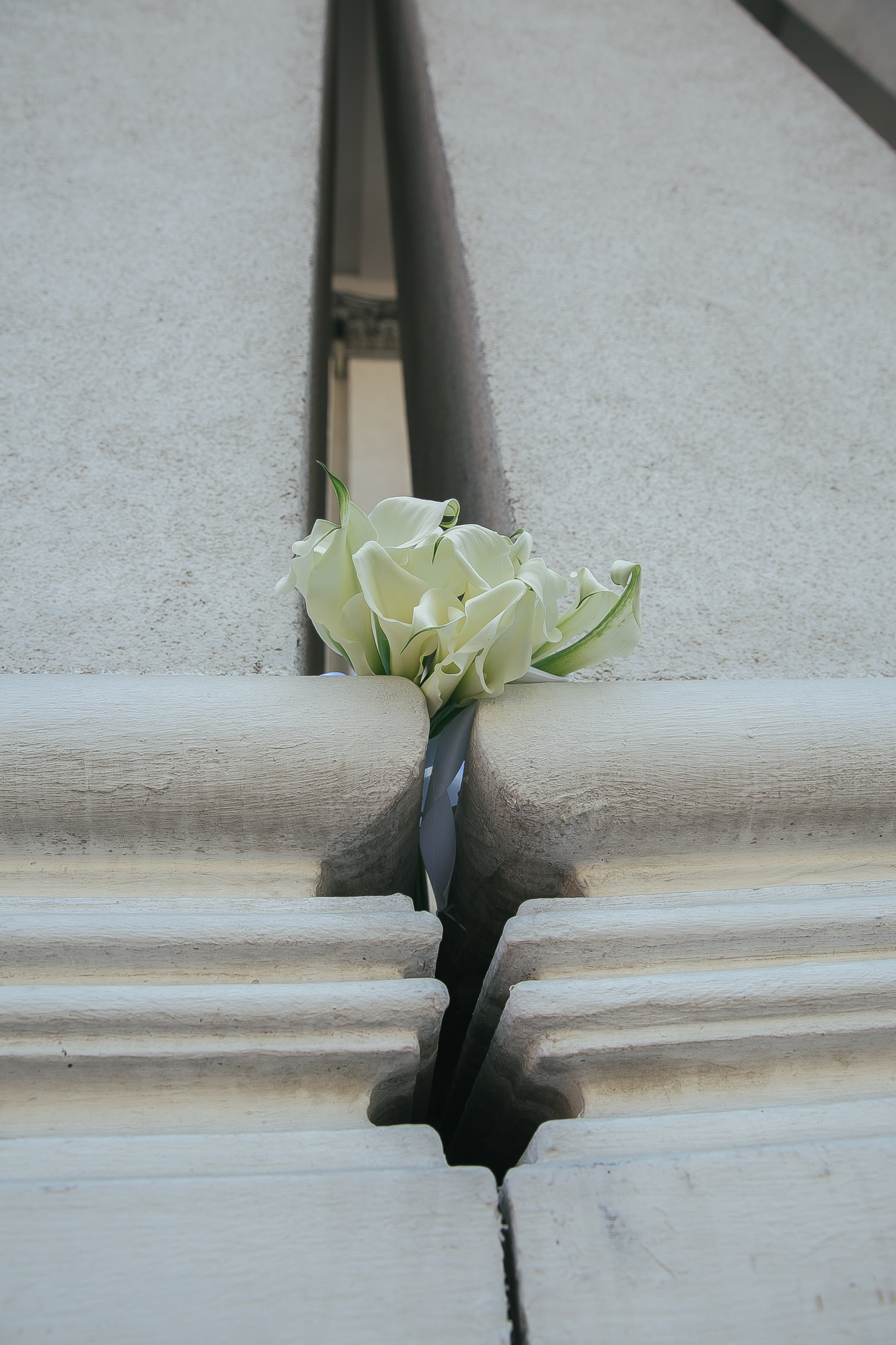 Свадебная Фотосессия (ЗАГС Воронеж) фотограф Ольга Волкова. Свадебный, Семейный и Детский фотограф в Воронеже Ольга Волкова