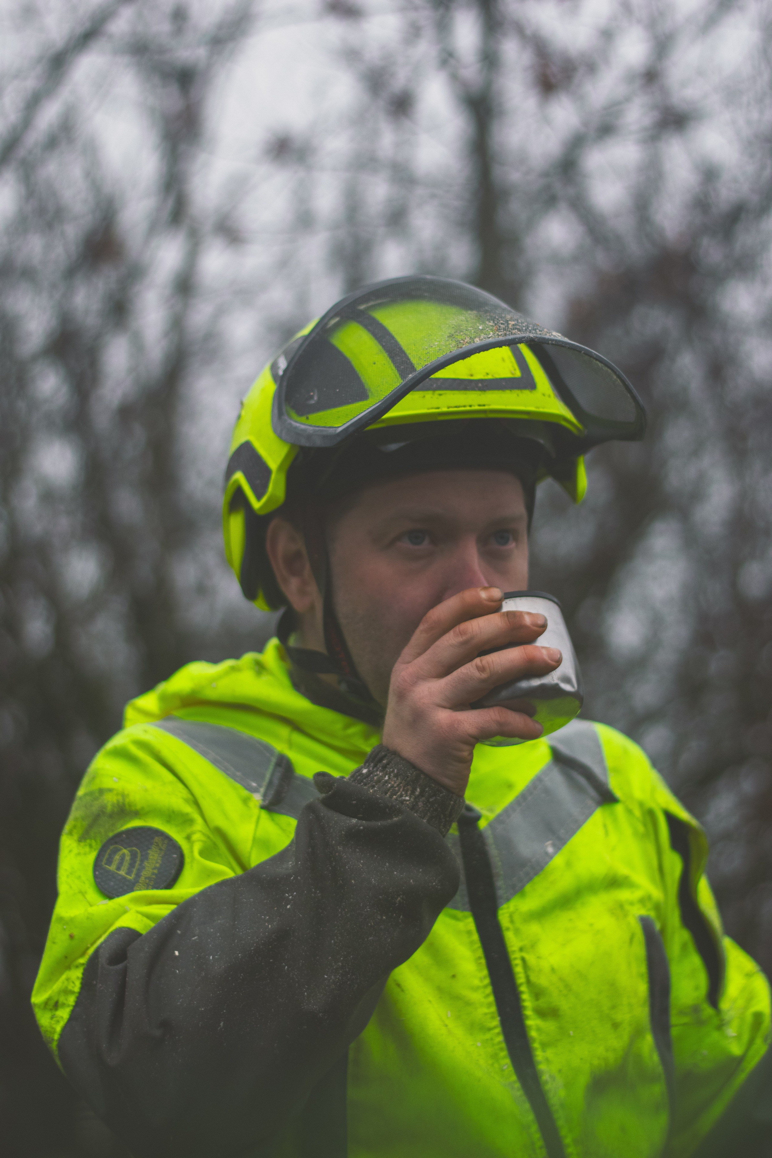 Спил деревьев. Аrbori Culturist