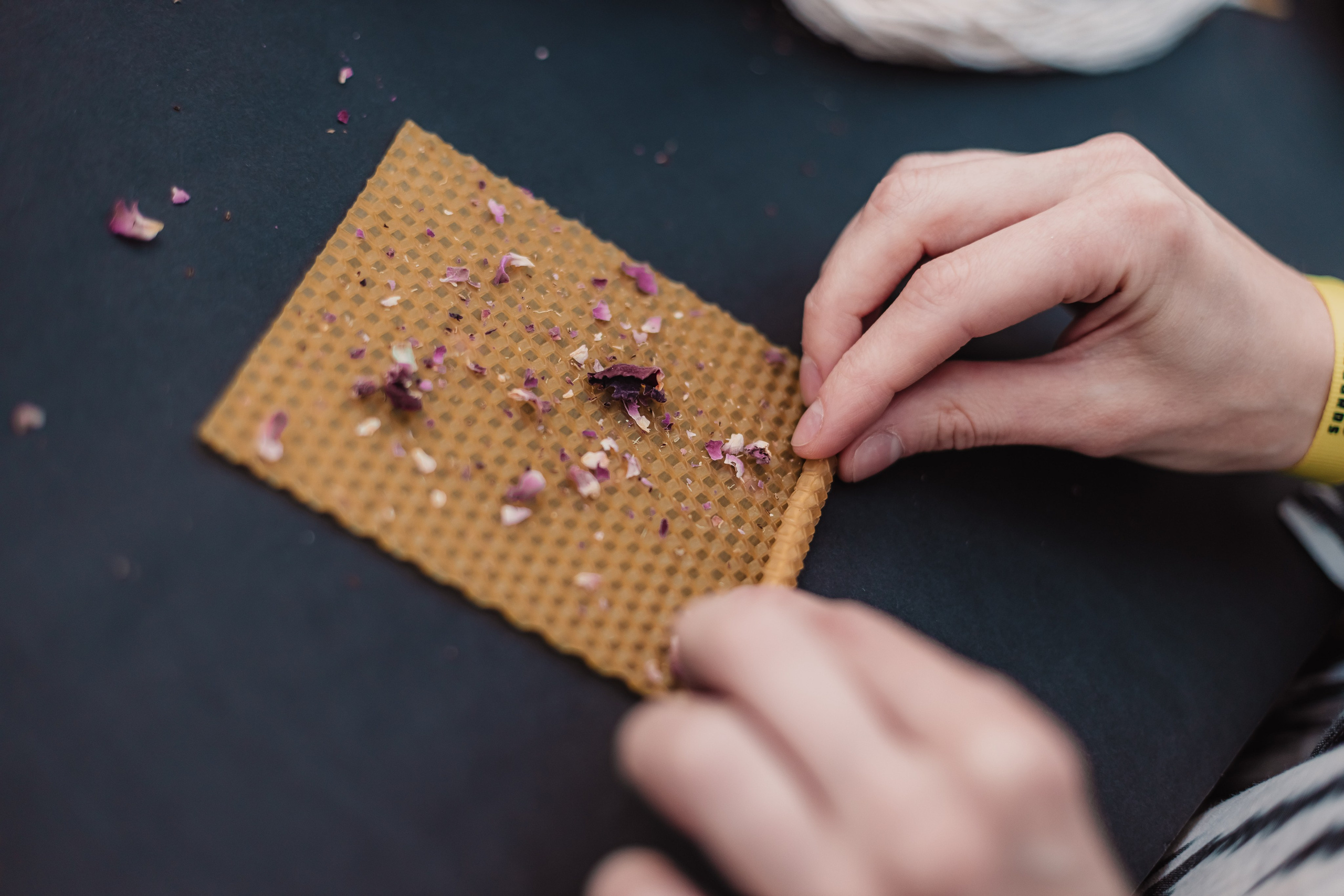 Dhira concert 108 records. Мариам Багдасарян