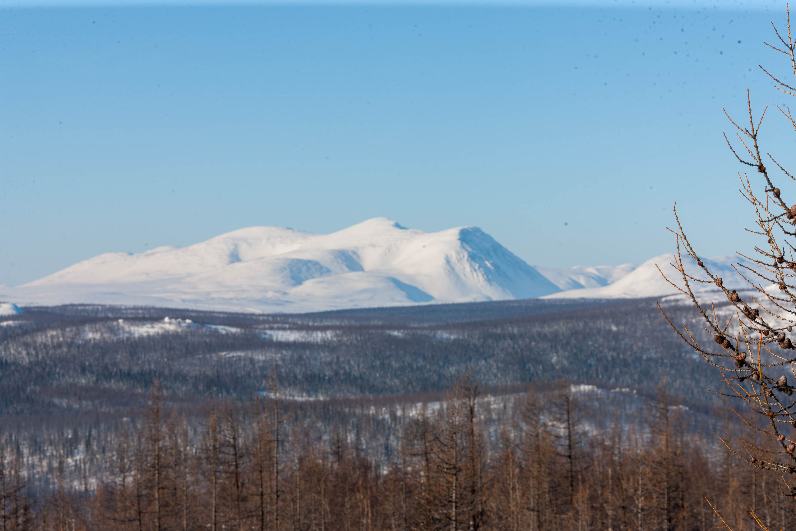 Природа. Алексей Михеев Фотограф г. Москва