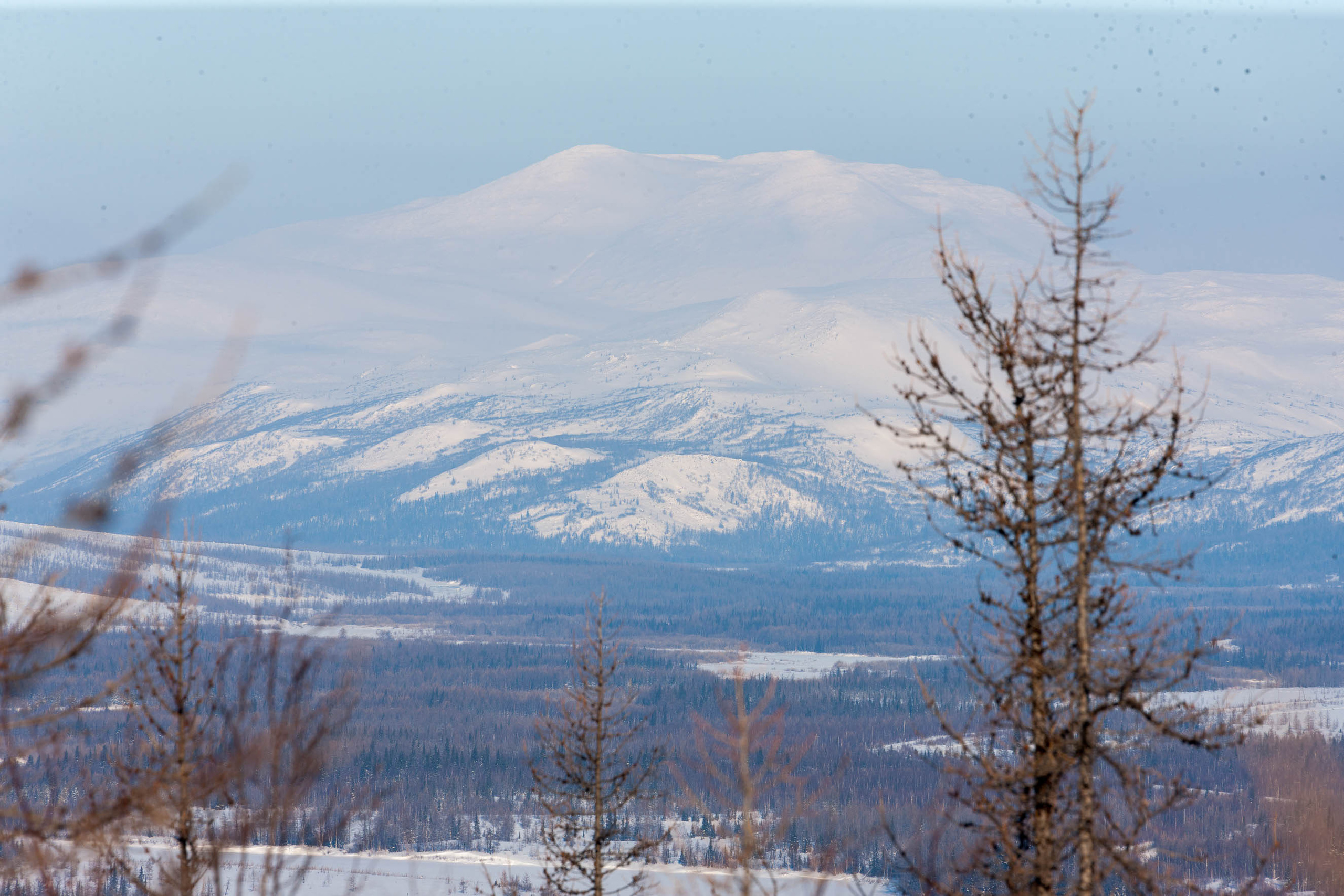 Природа. Алексей Михеев Фотограф г. Москва