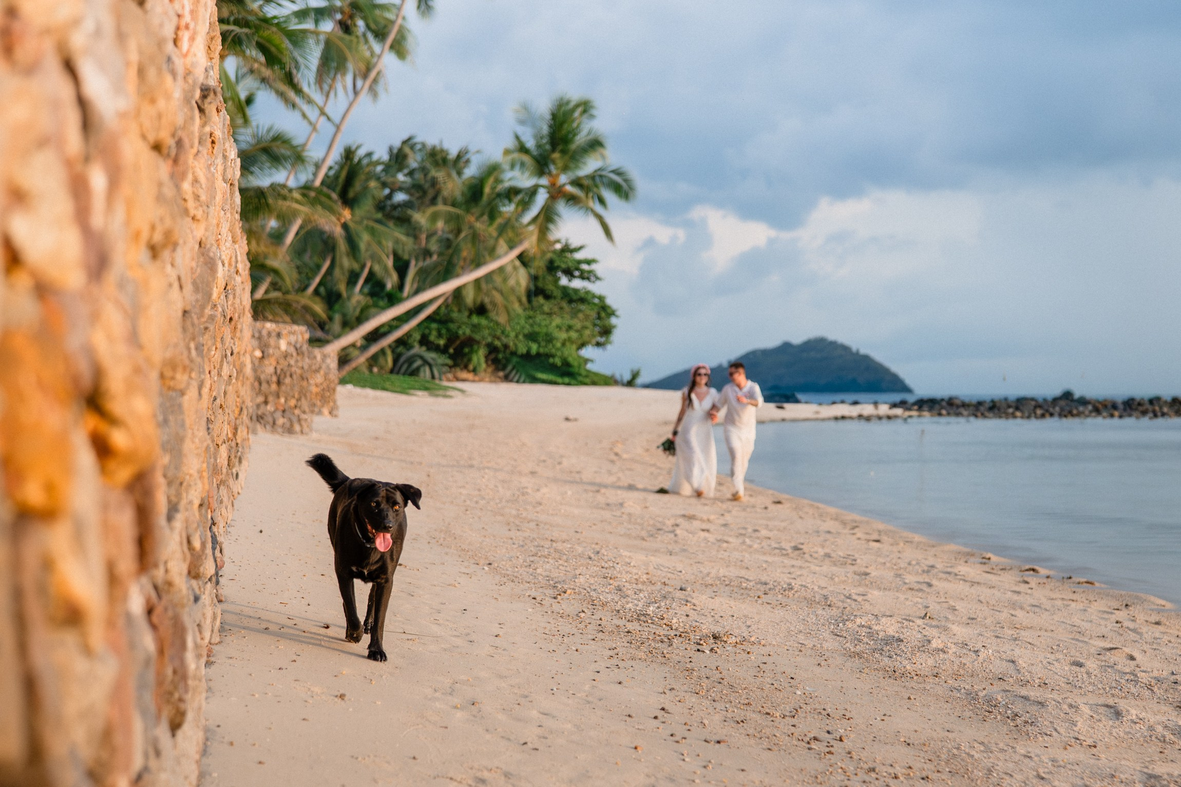 Bride and groom during a romantic beach wedding ceremony on Koh Samui, Thailand, surrounded by tropical scenery and ocean views