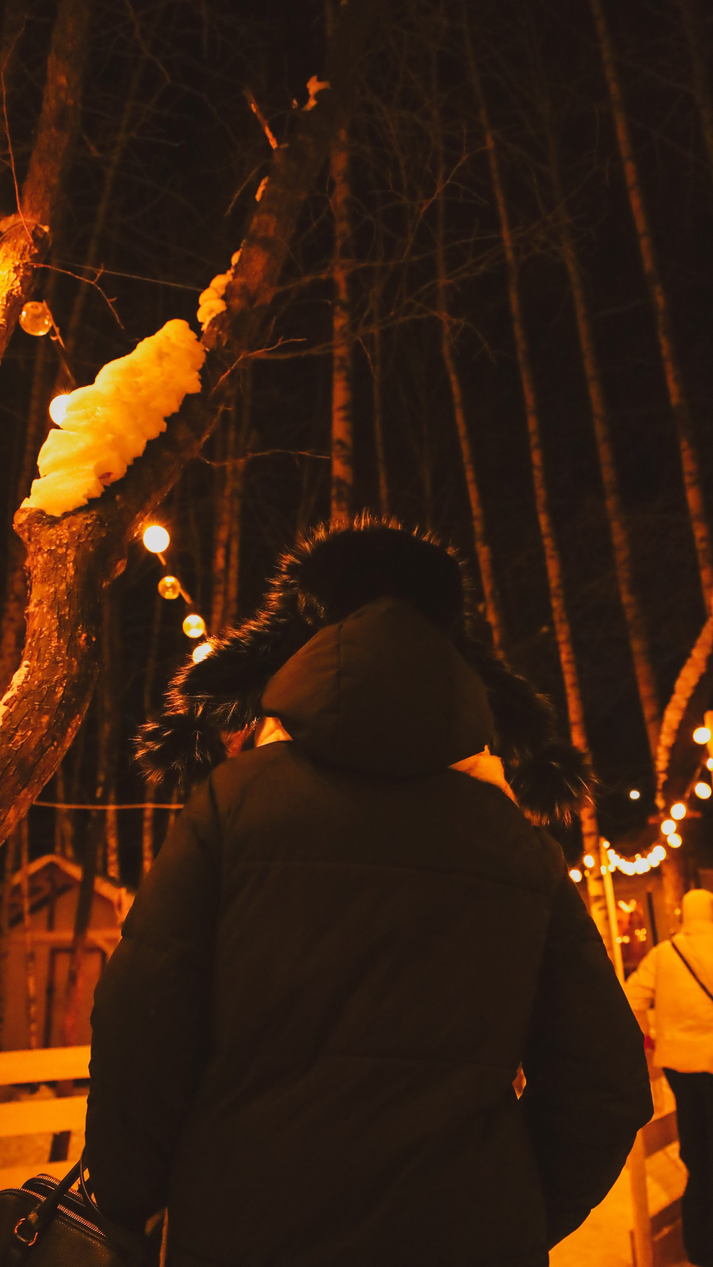 Alpaca park. Фотограф/дизайнер в Екатеринбурге Хитрый Дмитрий