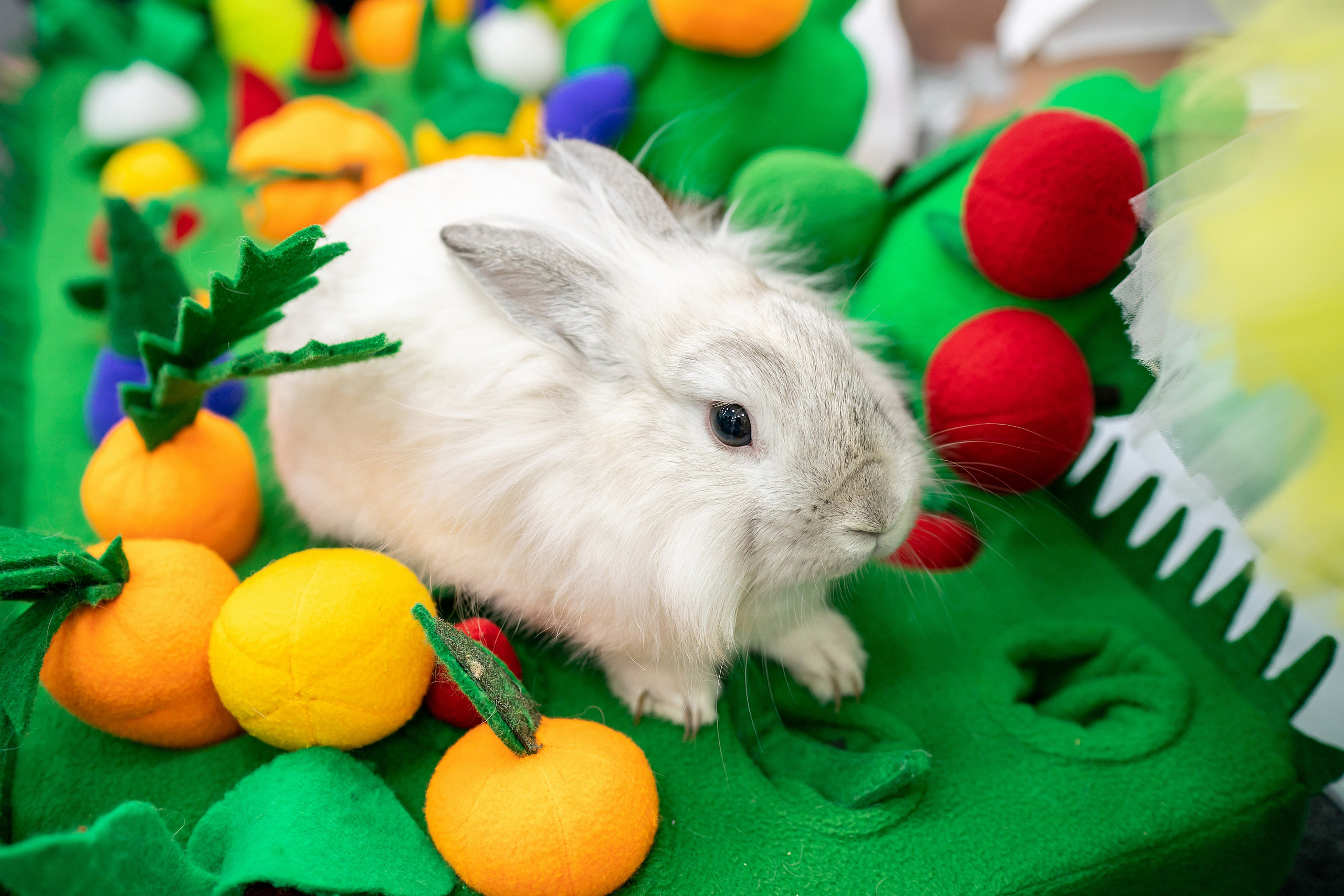 Варваре 1 годик!. Фотограф на Крещение и Венчание в Красноярске Рамазанова Юлия