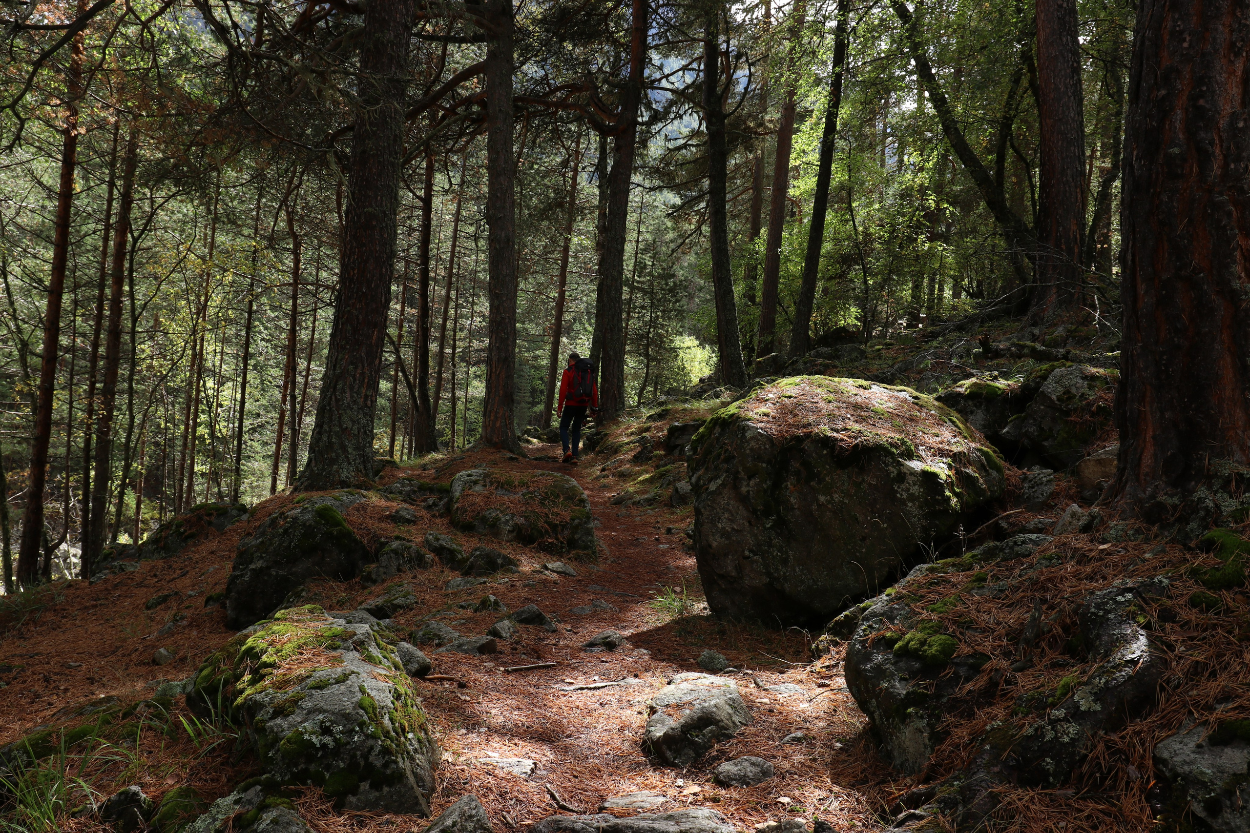 Приэльбрусье. Сентябрь 2024. Путешественник-фотограф из Санкт-Петербурга Татьяна Свистулина