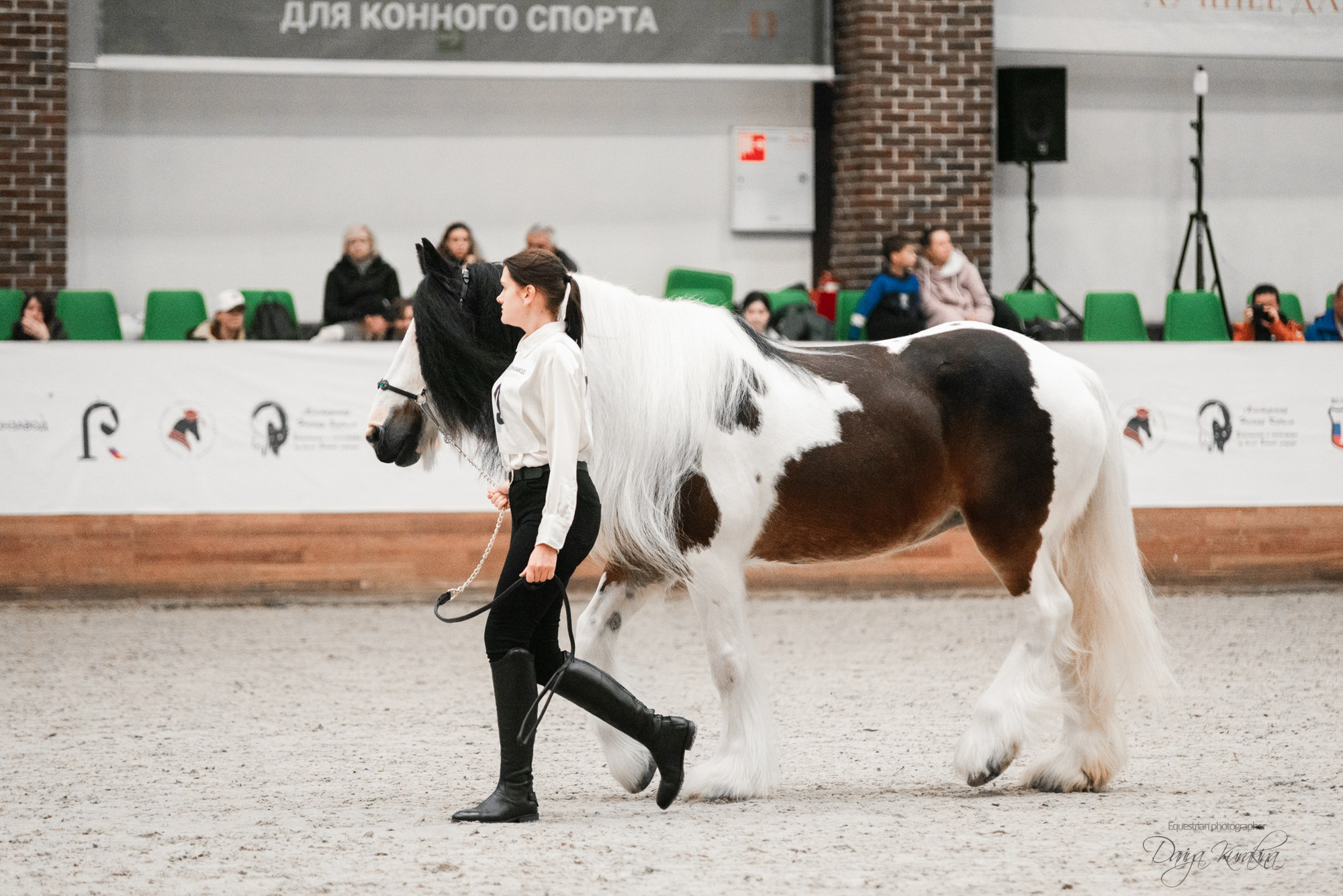 8-я международная выставка Конная Россия. Конный фотограф Куракина Дарья • Фотосессии с лошадьми