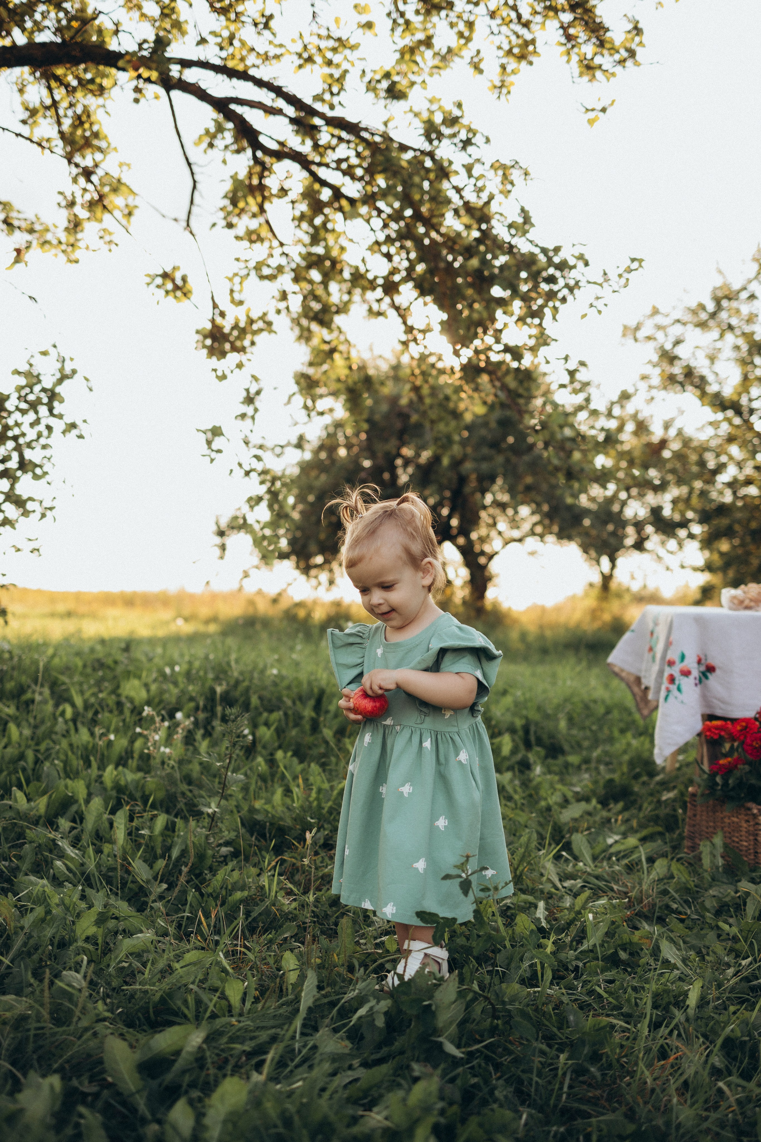 Чаепитие в саду. Фотограф Елена Рябцева