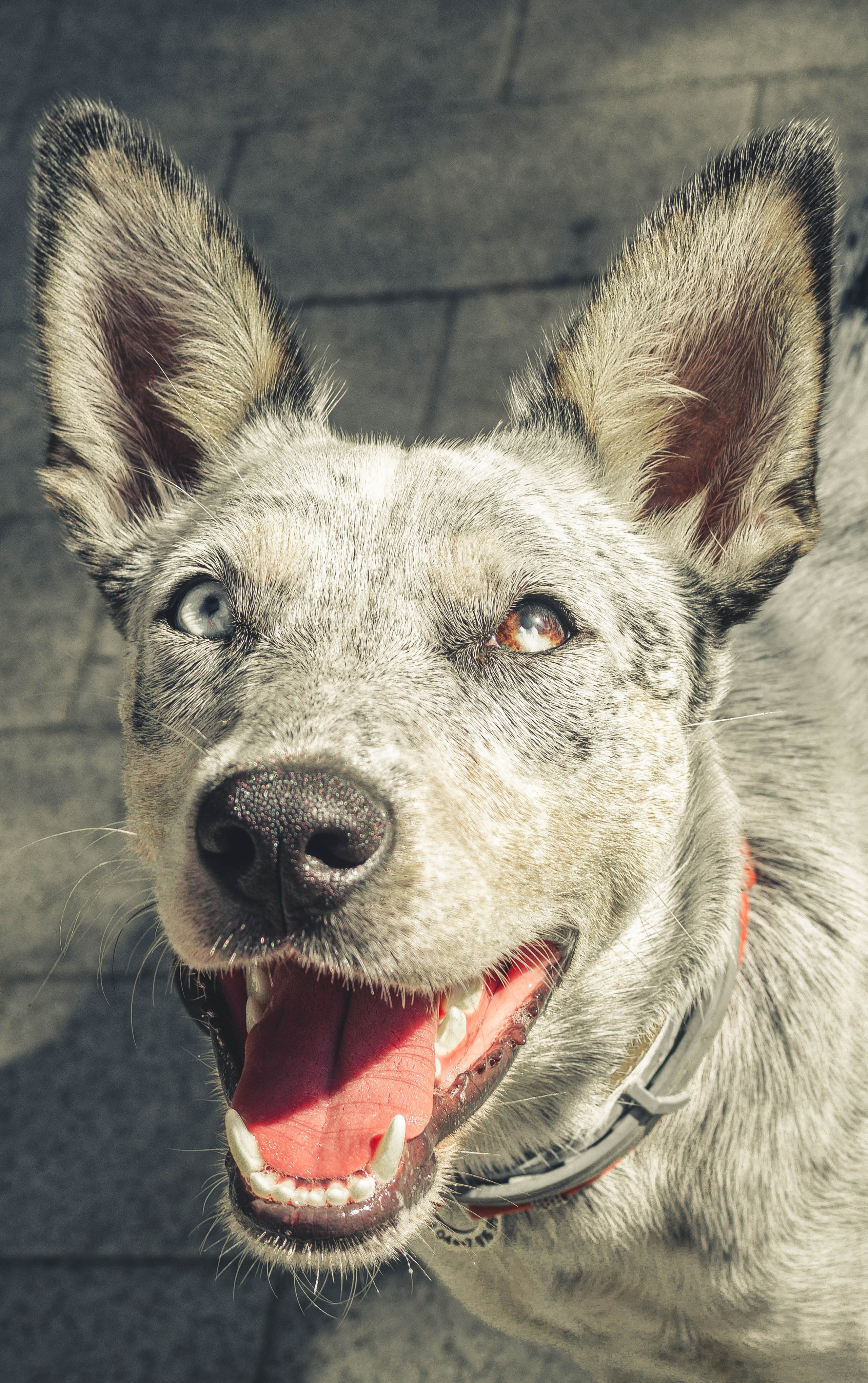 Цунами. Профессиональный фотограф