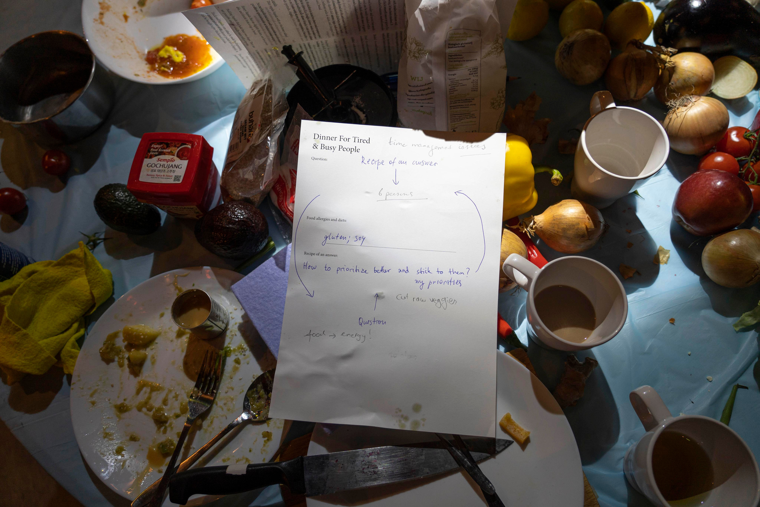 Dinner for Tired and Busy People. Jana Romanova