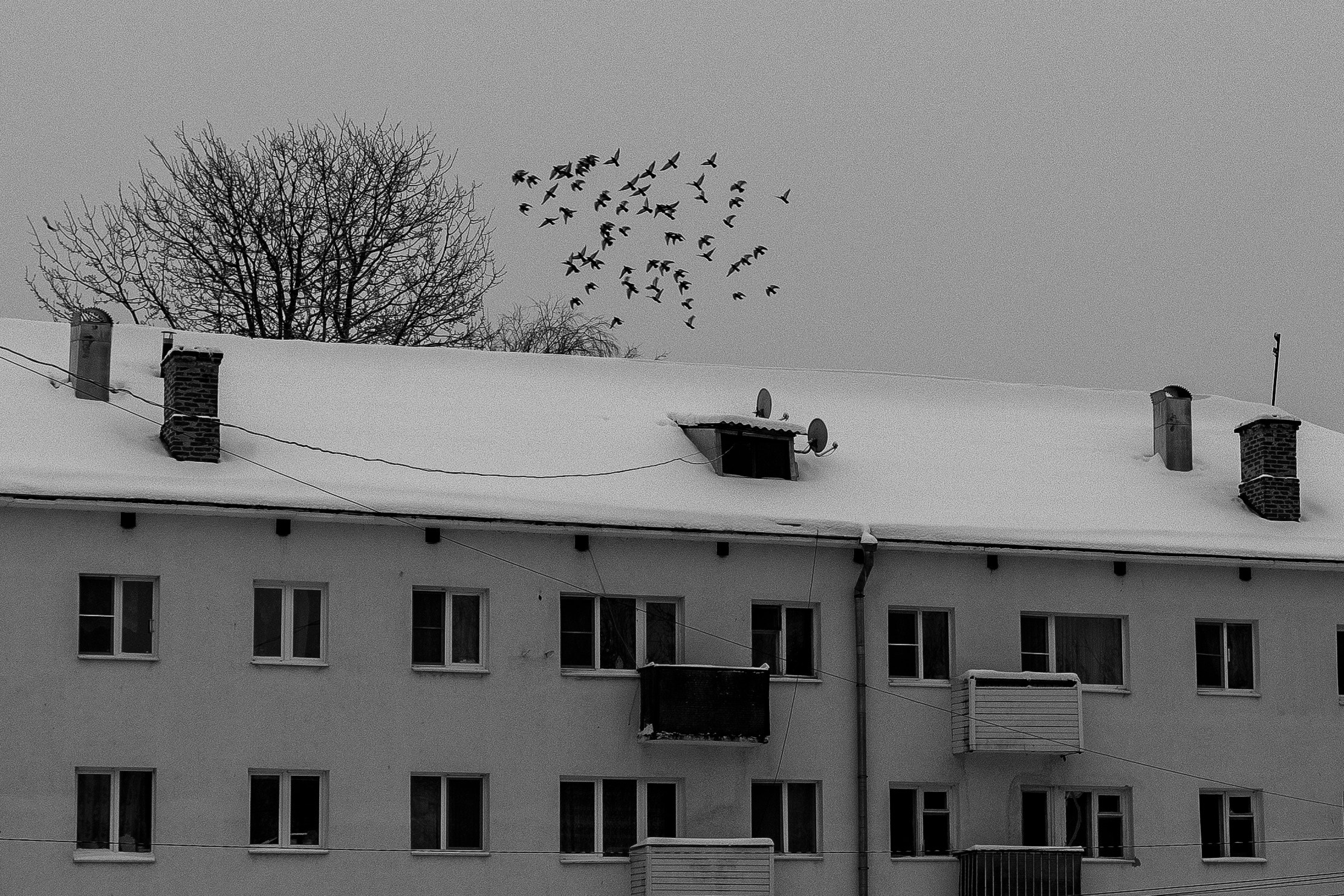 Про жизнь. Фотограф Сергей Ловкий