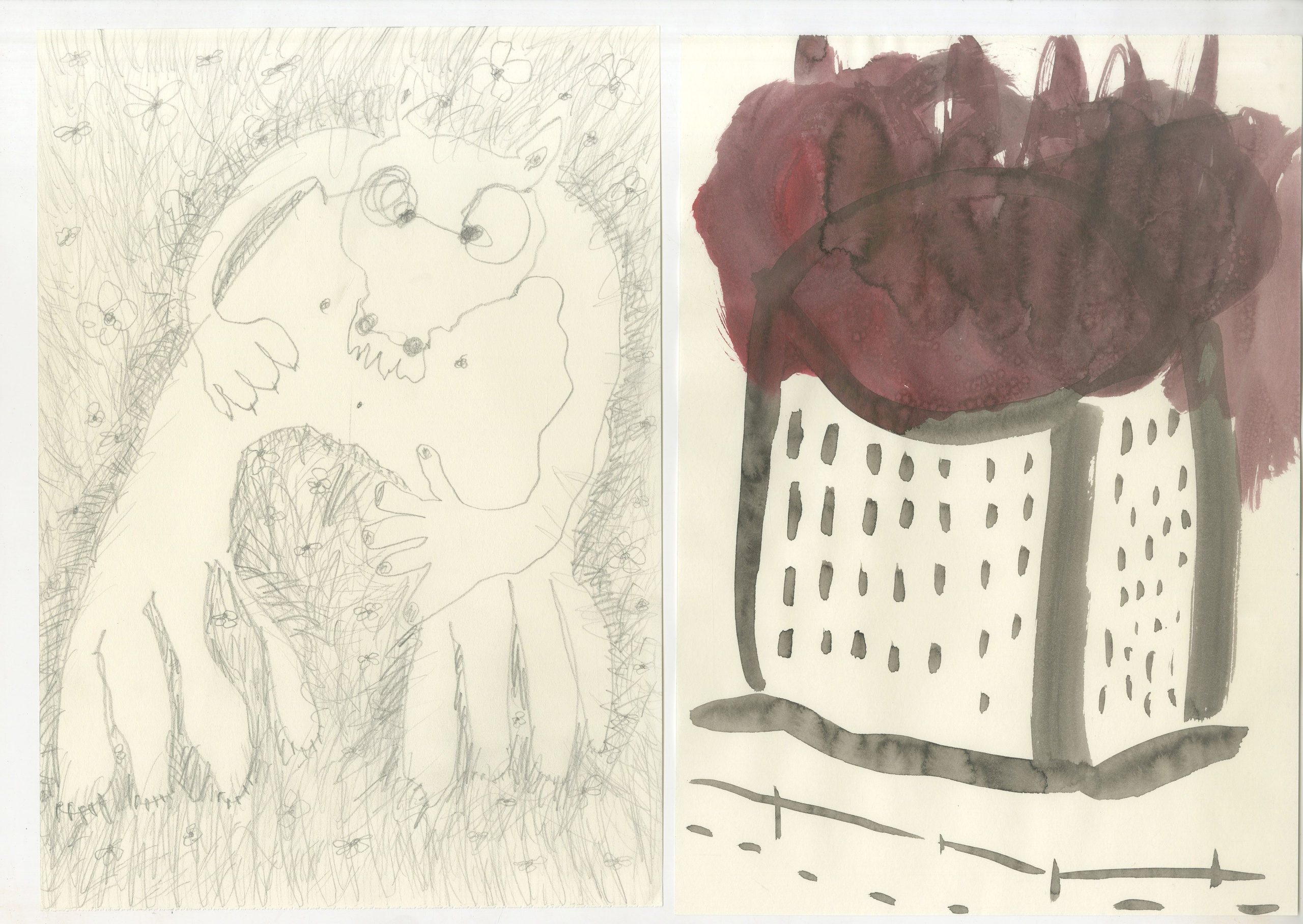 Графика. Художник. Фотограф