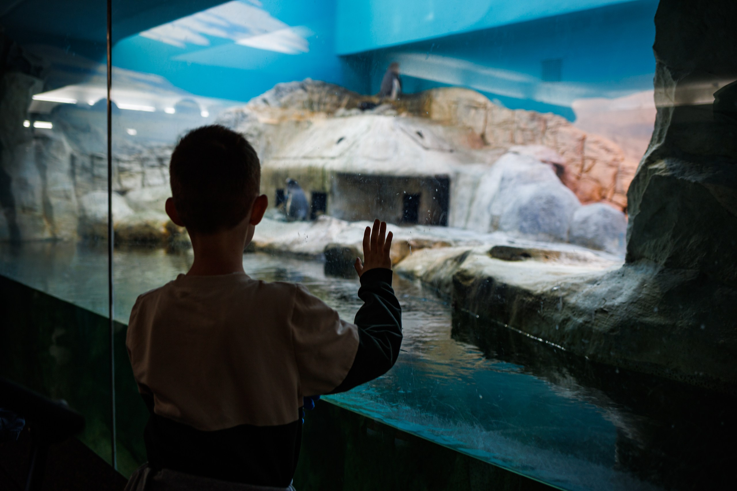 Общее. Фотограф Корчагин Даниил