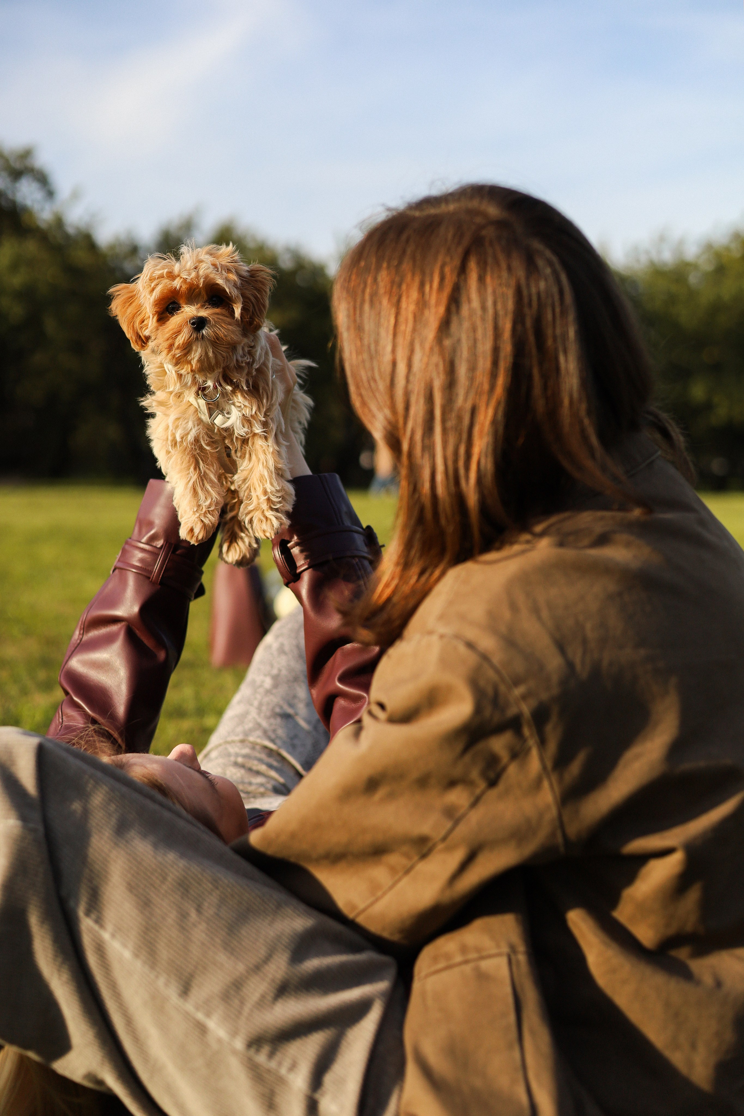 Лили, Роман и Анастасия. Фотограф-анималист Ксения Шевцова|Москва