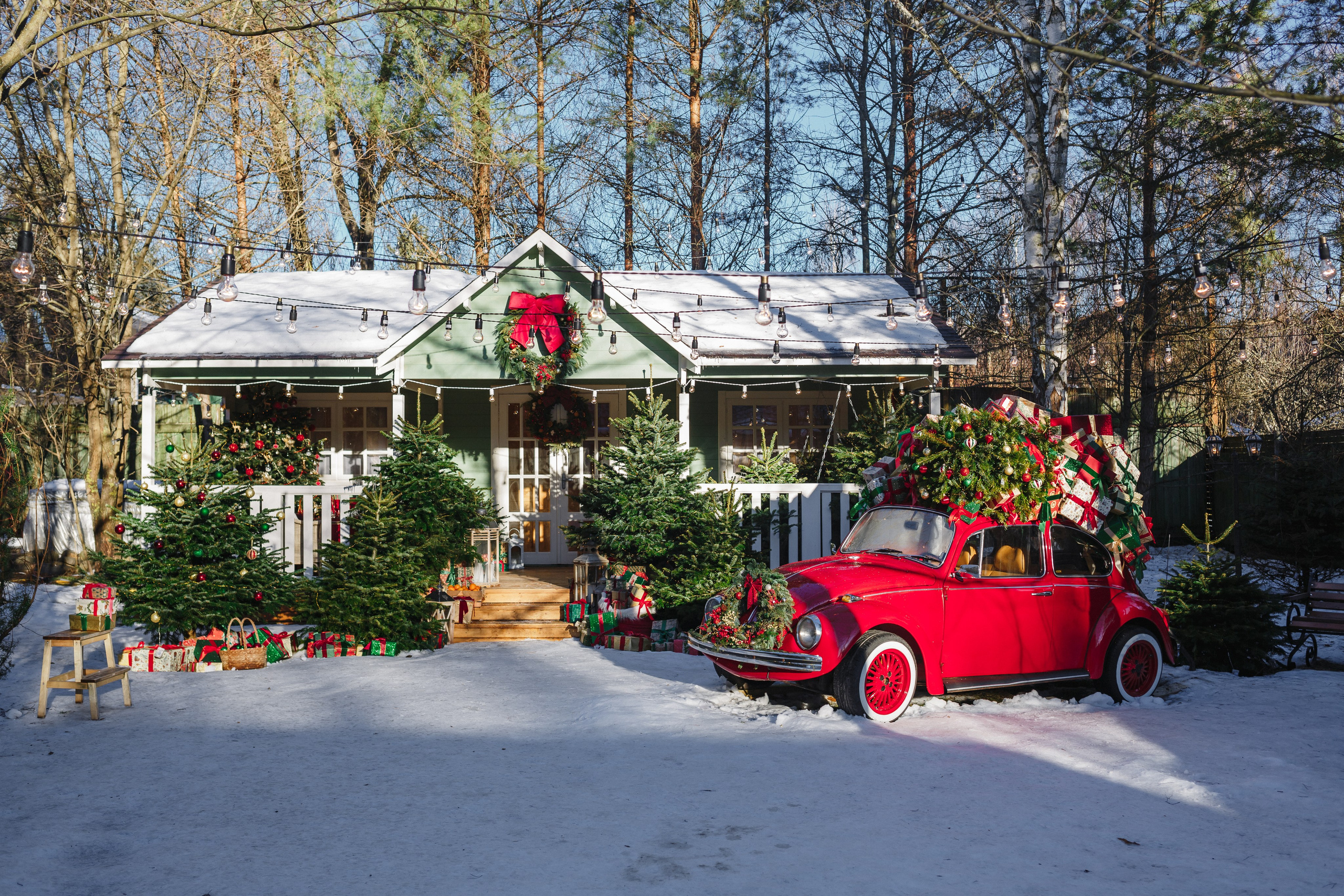 Зимняя сказка. Семейный фотограф Николаева Ольга