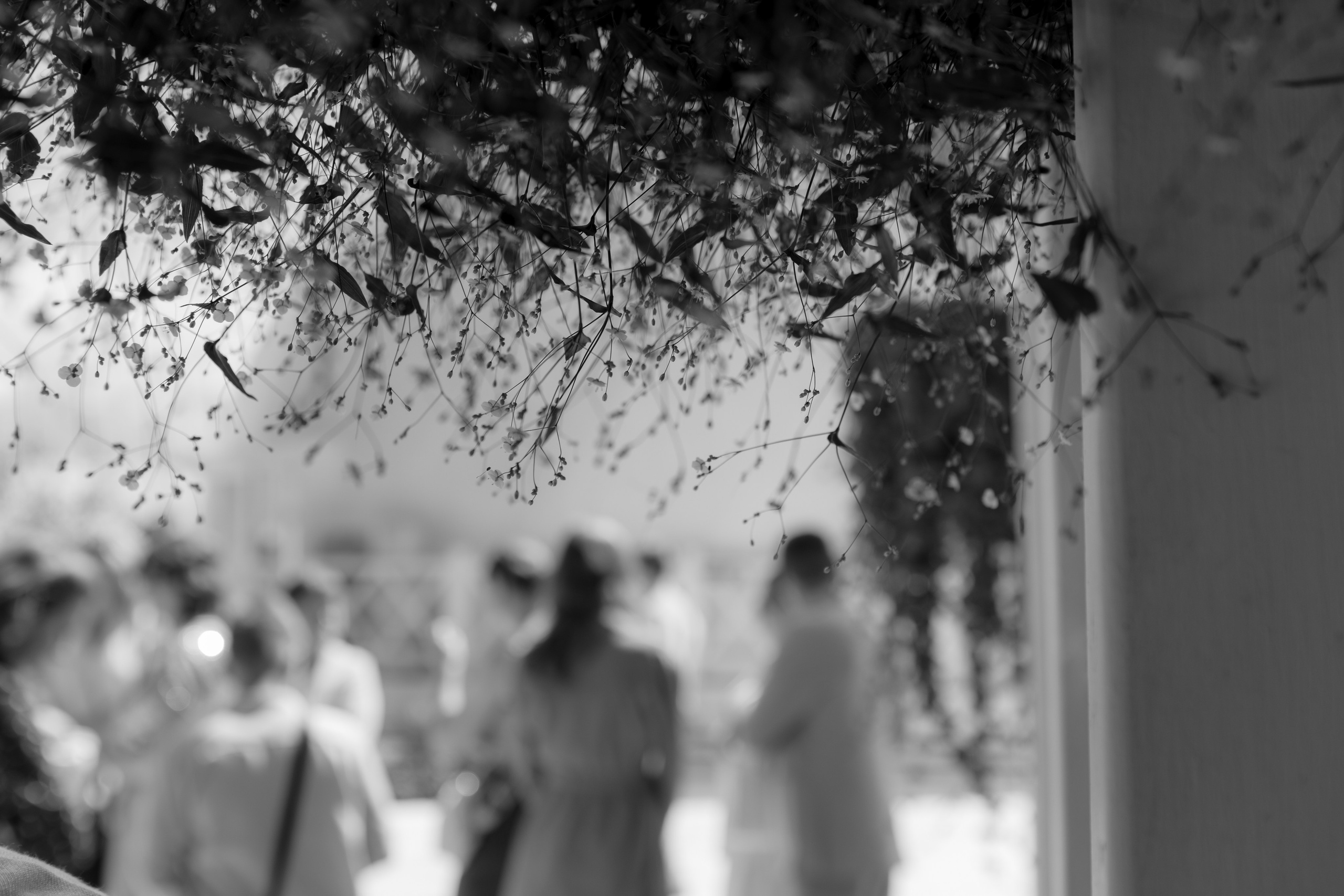 Саша и Алина. Главная