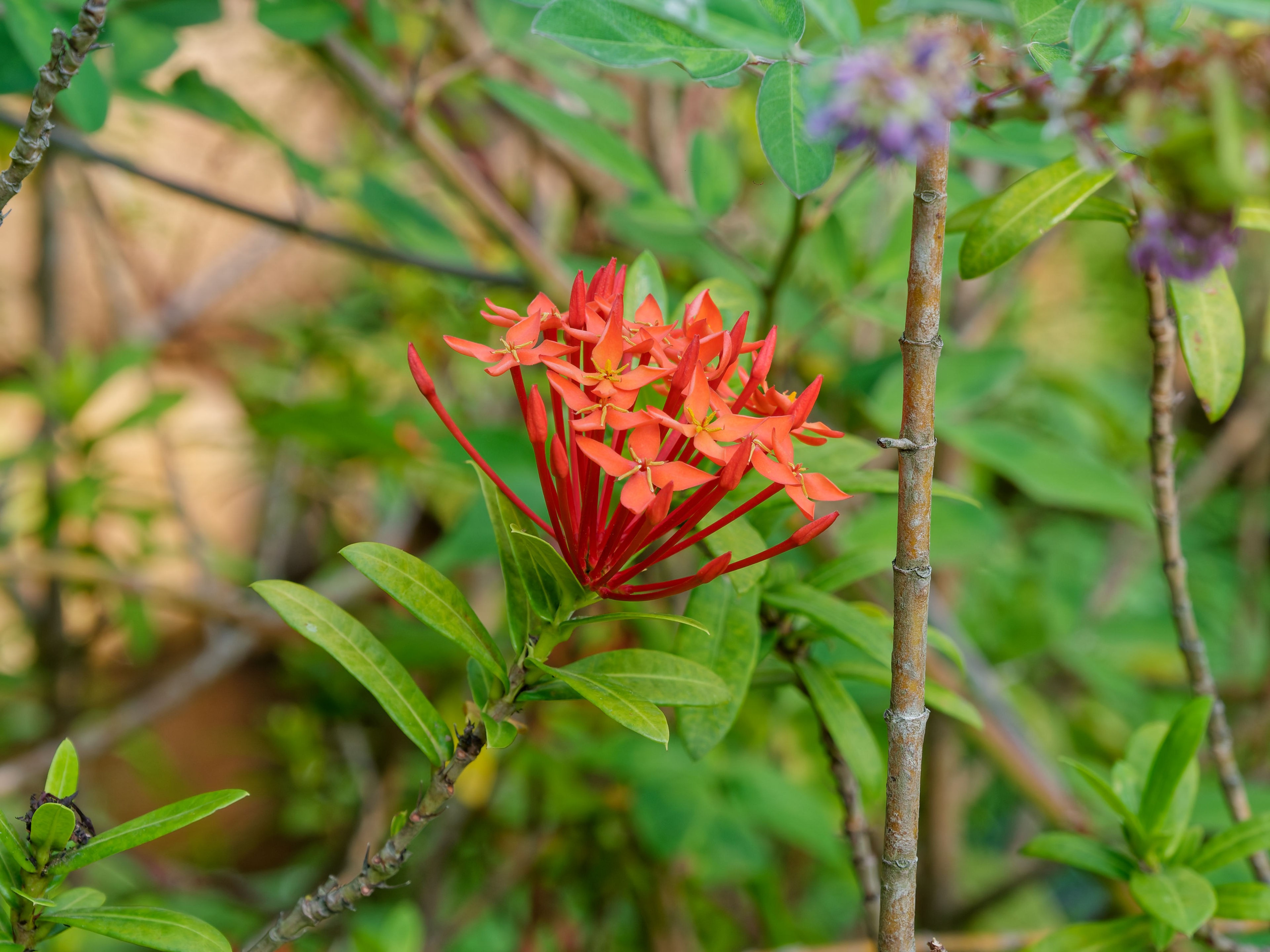 Хайнань 2026, первые впечатления. Фотопрогулки по Миру