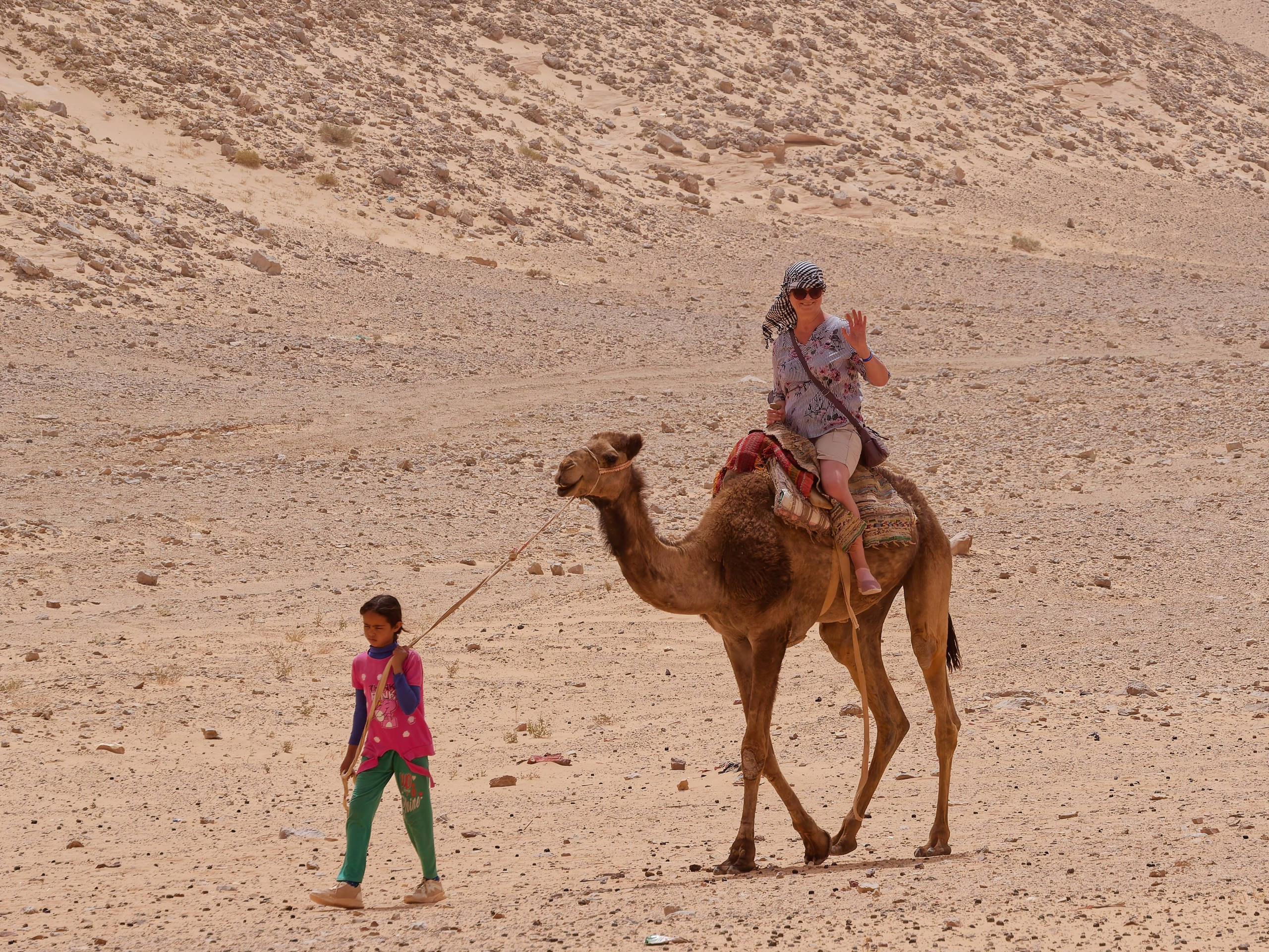 Шарм-эль-Шейх 2022, сафари. Избранные фотографии