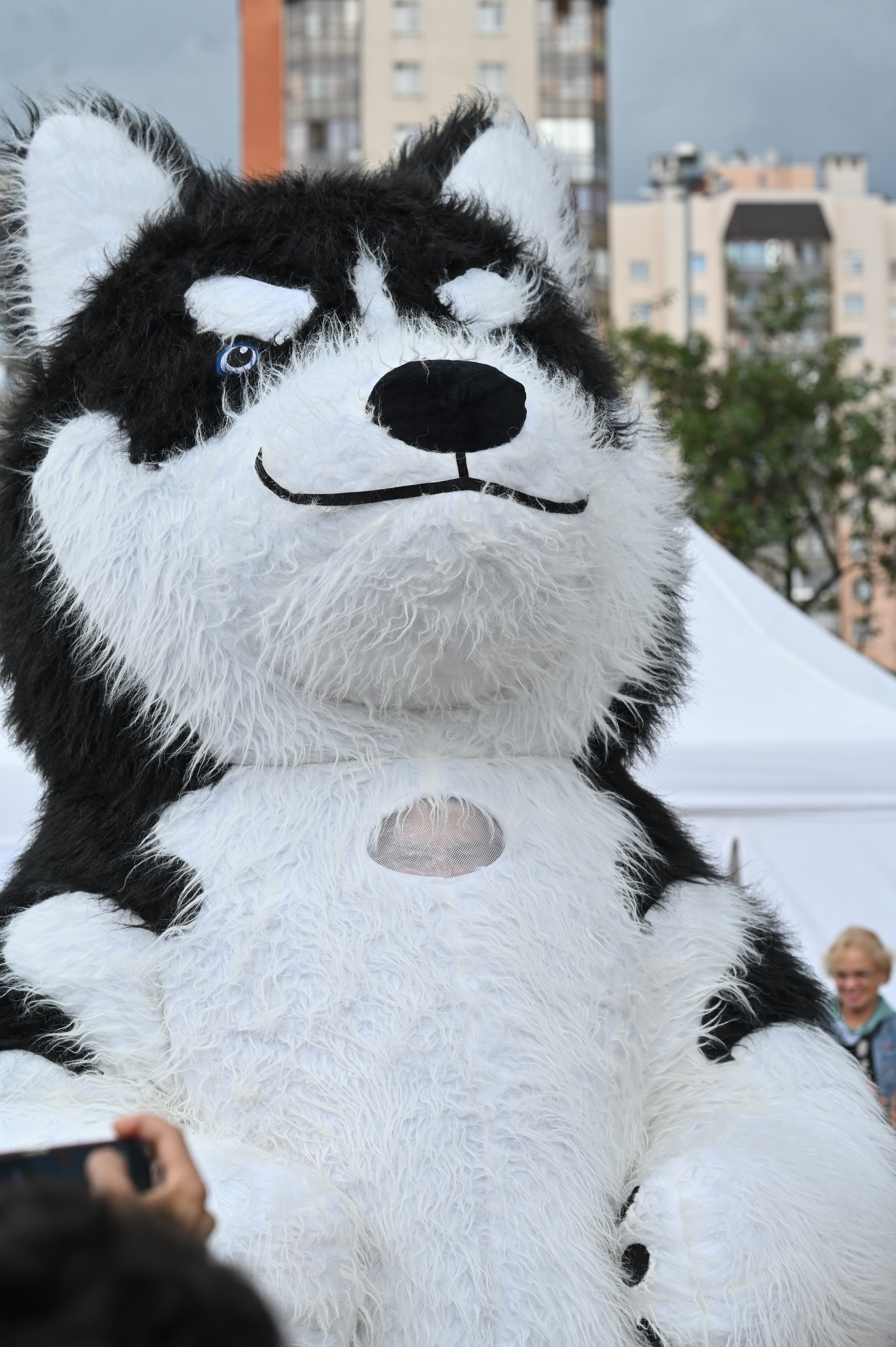 Семейный фестиваль 97 лет ЛО. ZDARONOKIA Репортажный фотограф