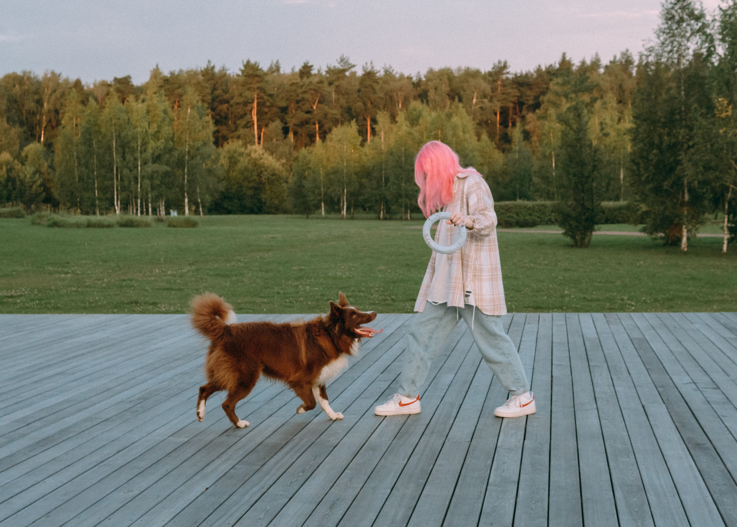 Виолетта, Лила и Питер. Фотограф-анималист Ксения Воробьева, Москва