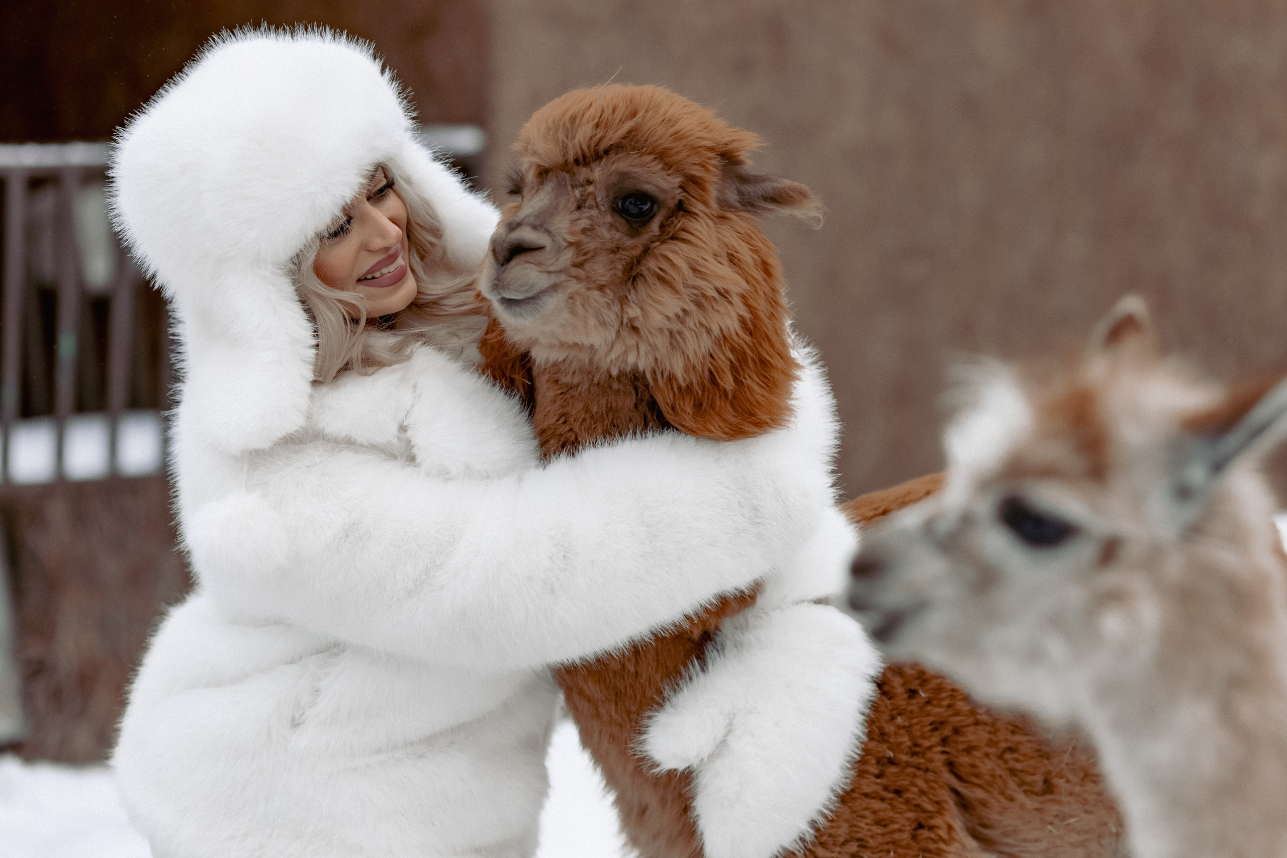 Алина. Детский и семейный фотограф Евгения Вахнеева Москва Зеленоград