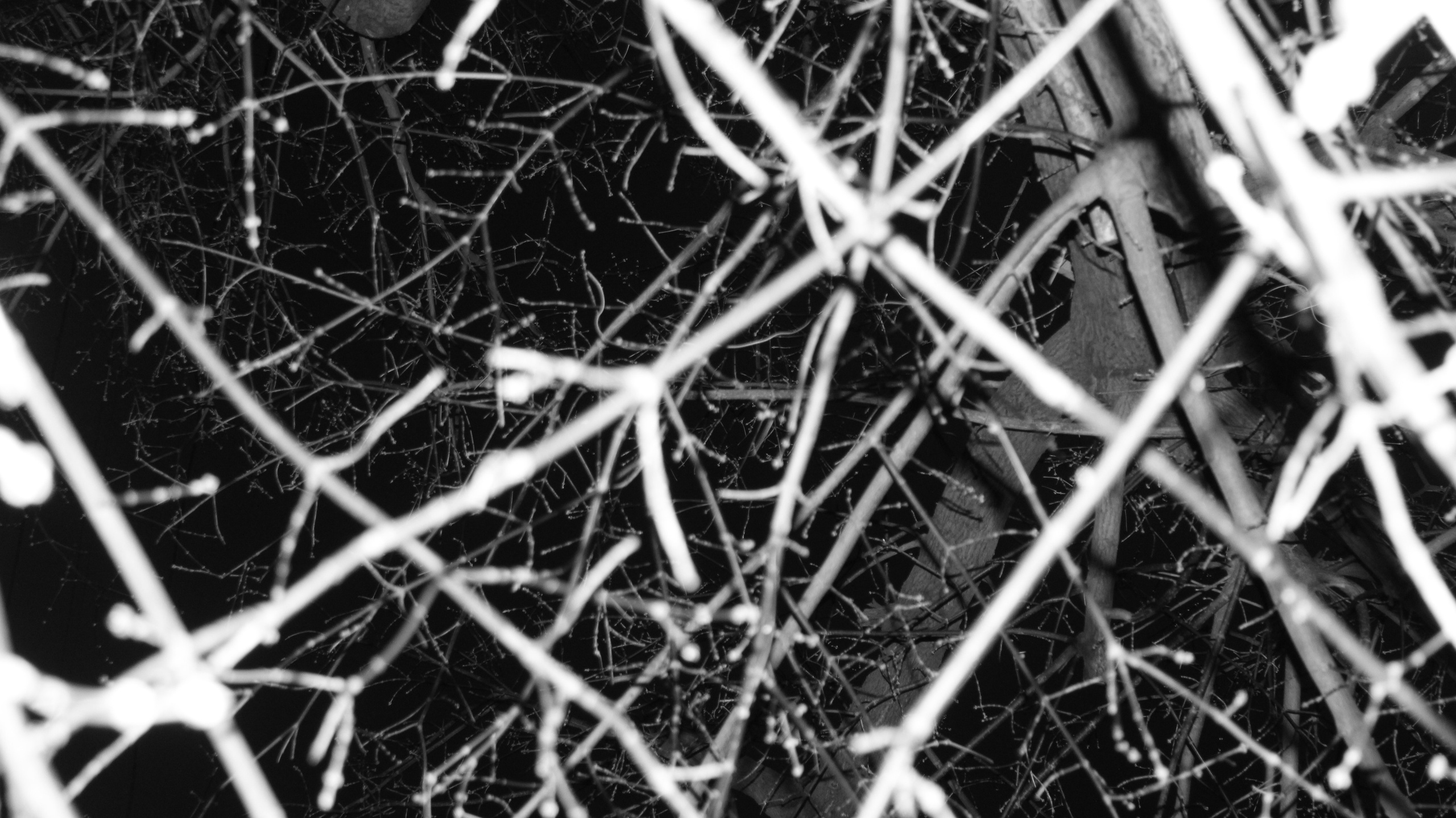 TMN winter '25 (wb). Фотограф/дизайнер в Екатеринбурге Хитрый Дмитрий