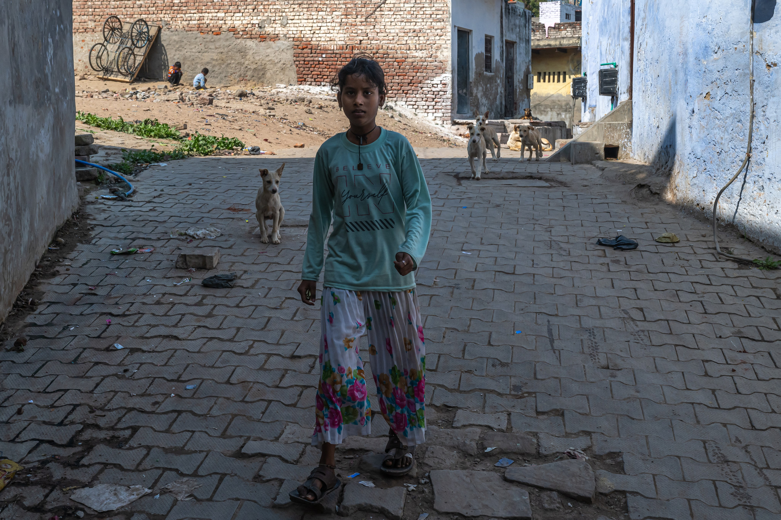 India 2024-2025. Dimitri Bakhtadze photographer