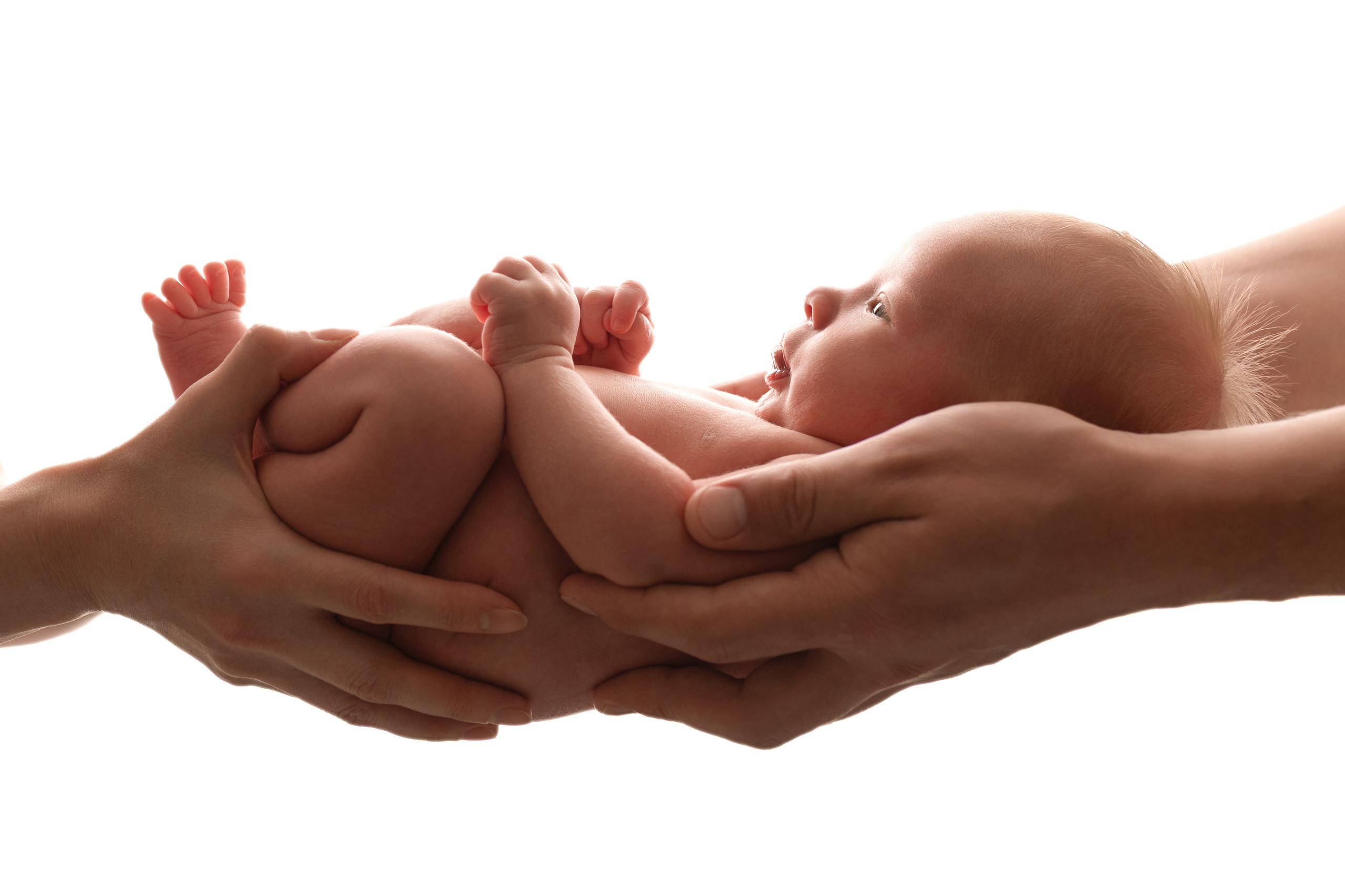 Newborn мальчики. Фотограф новорожденных Модяева Ирина