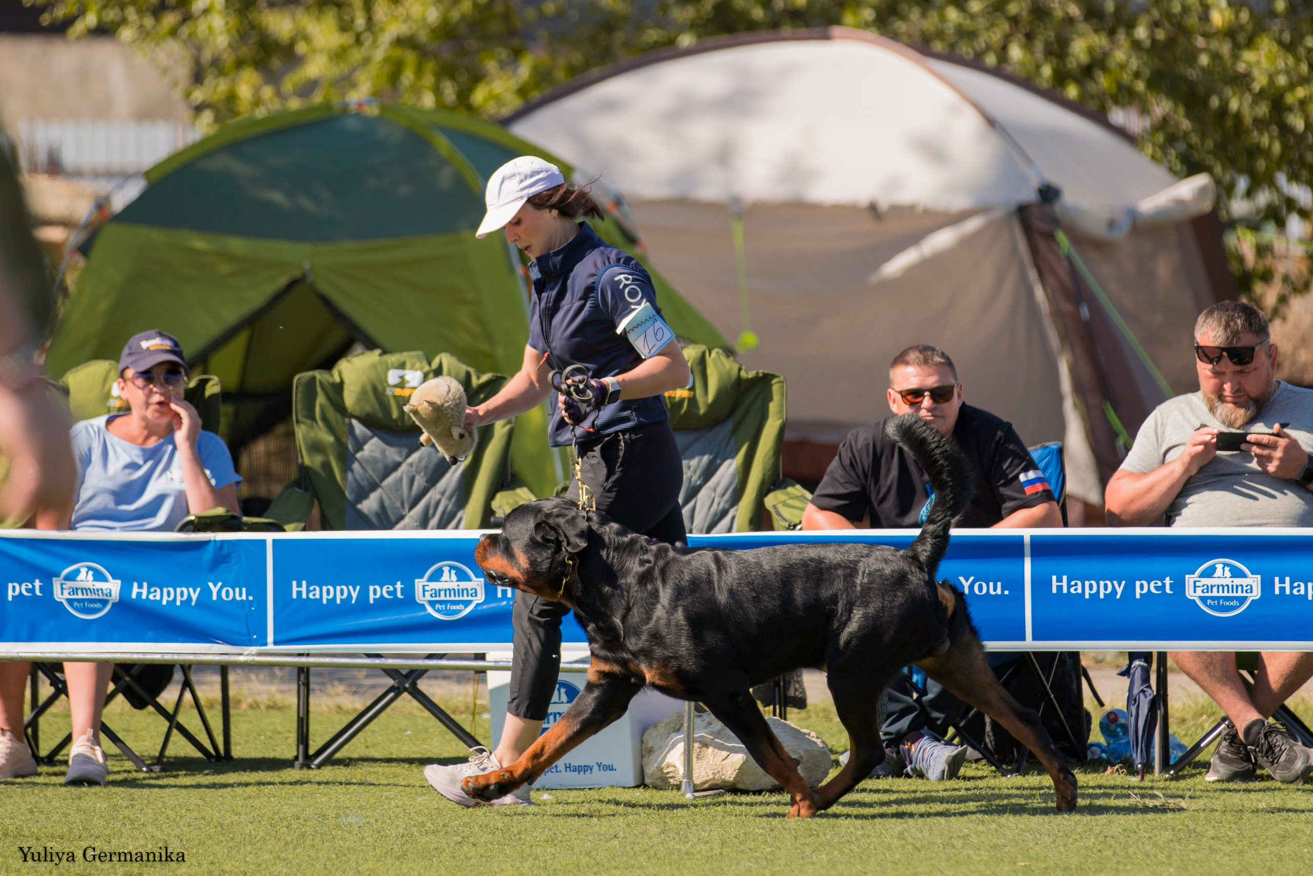Анапа 16-17.09.2023 моно ротвейлеров. Фотограф-анималист Юлия Германика