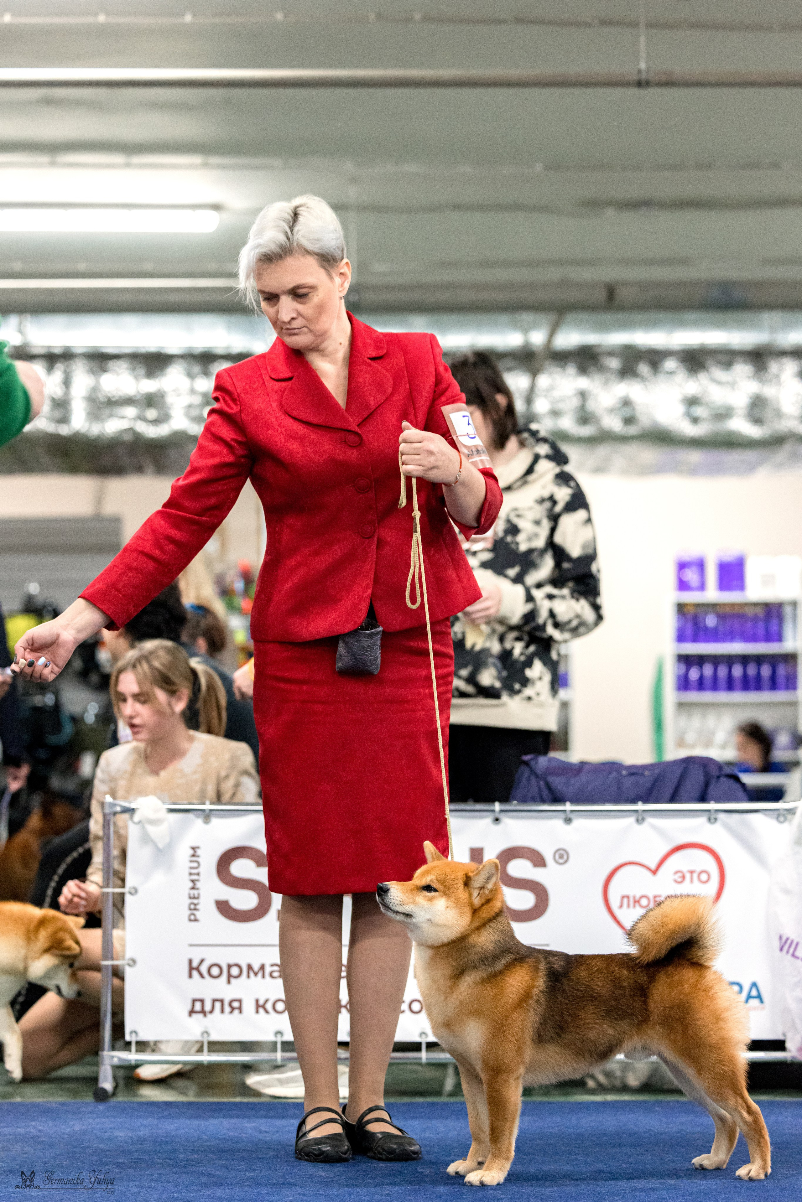 Сфера 29.10,Крокус 4.11,Сфера 12.11.2023. Фотограф-анималист Юлия Германика