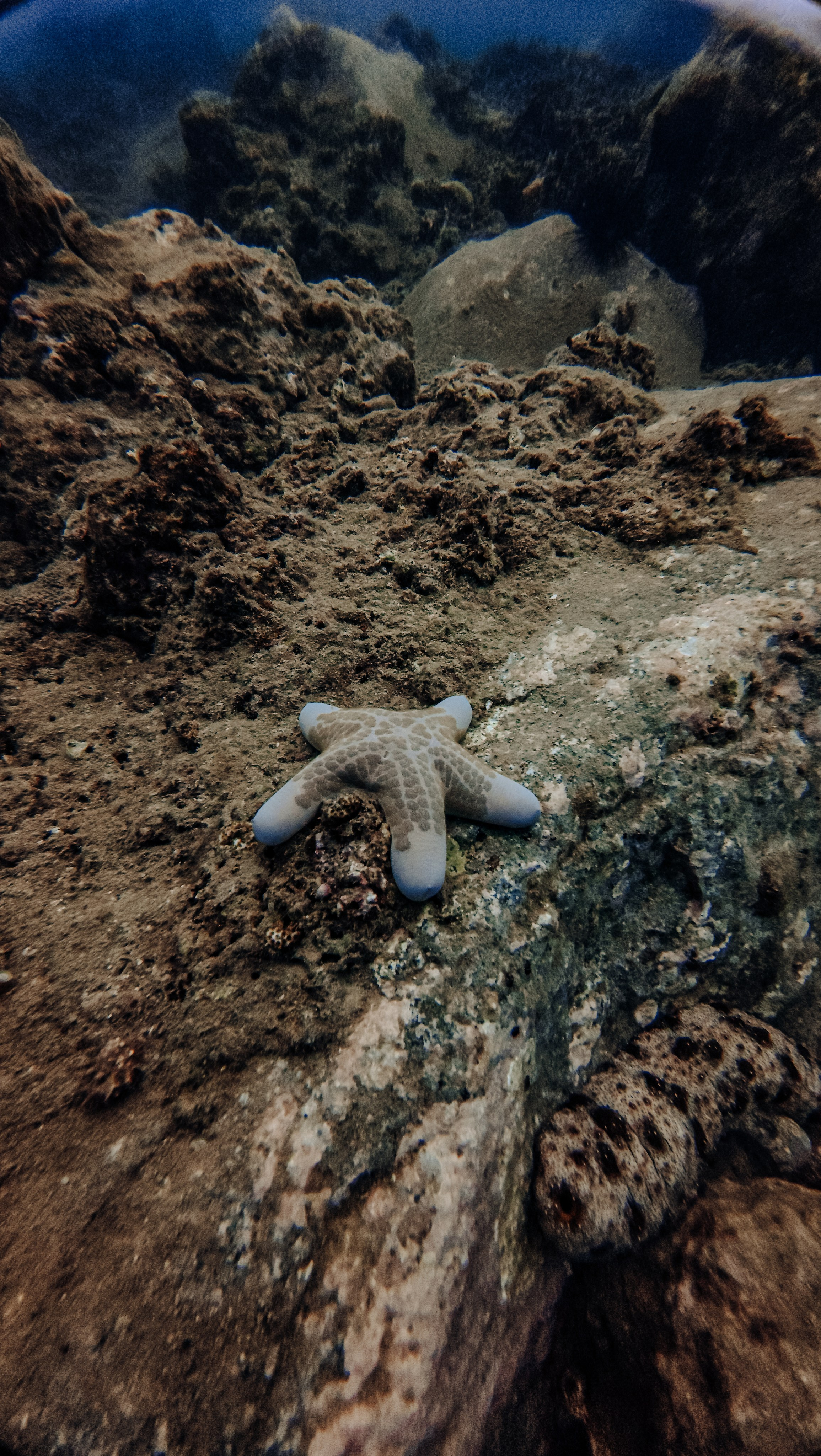 Галерея. Дайвинг во Вьетнаме