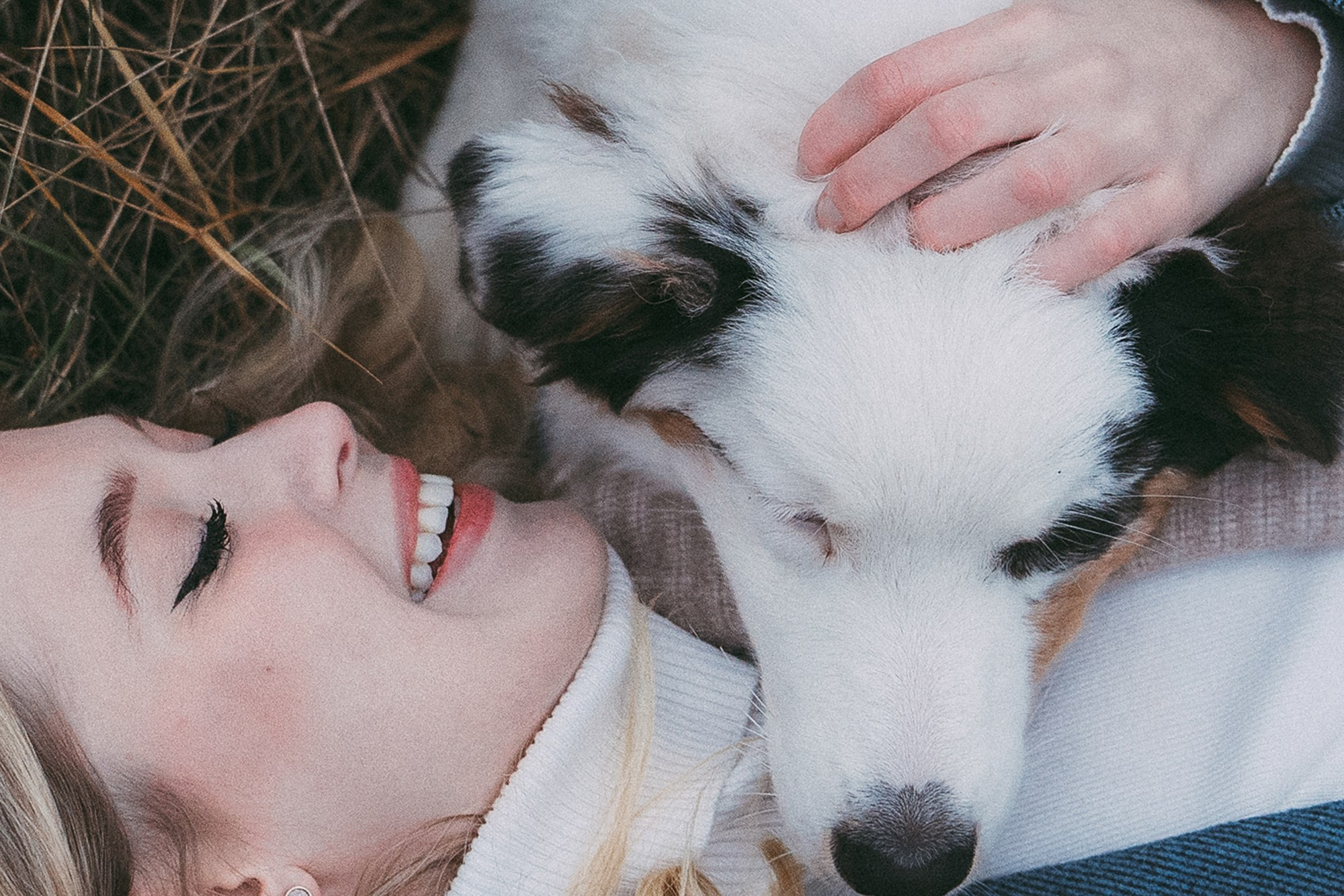Лиза и Бублик. Фотограф анималист в Москве и Санкт-Петербурге Свиридова Анна