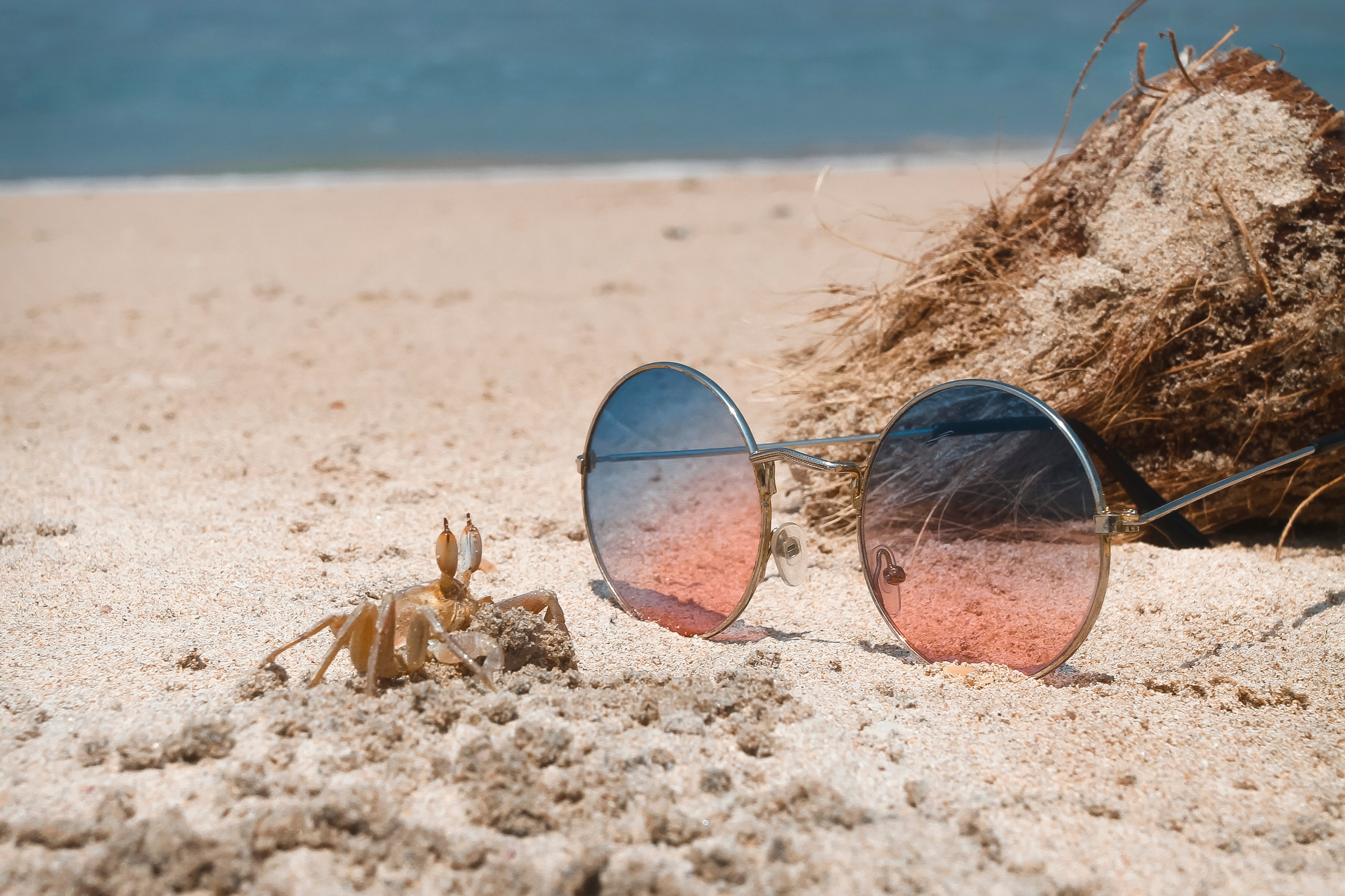 Sri Lanka. Art Photographer