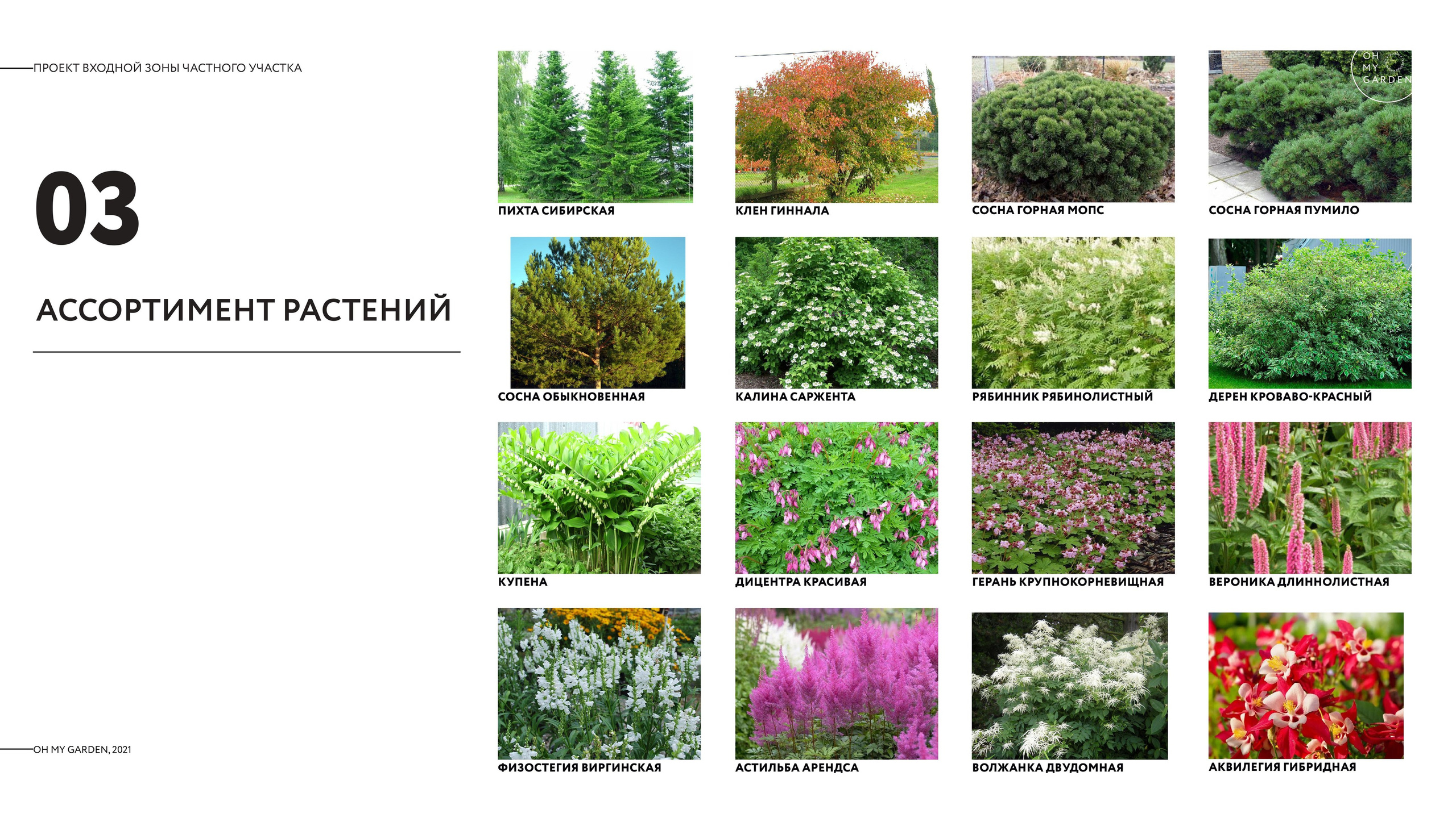 Ландшафтный проект. Ландшафтная архитектура, проектирование и дизайн садов