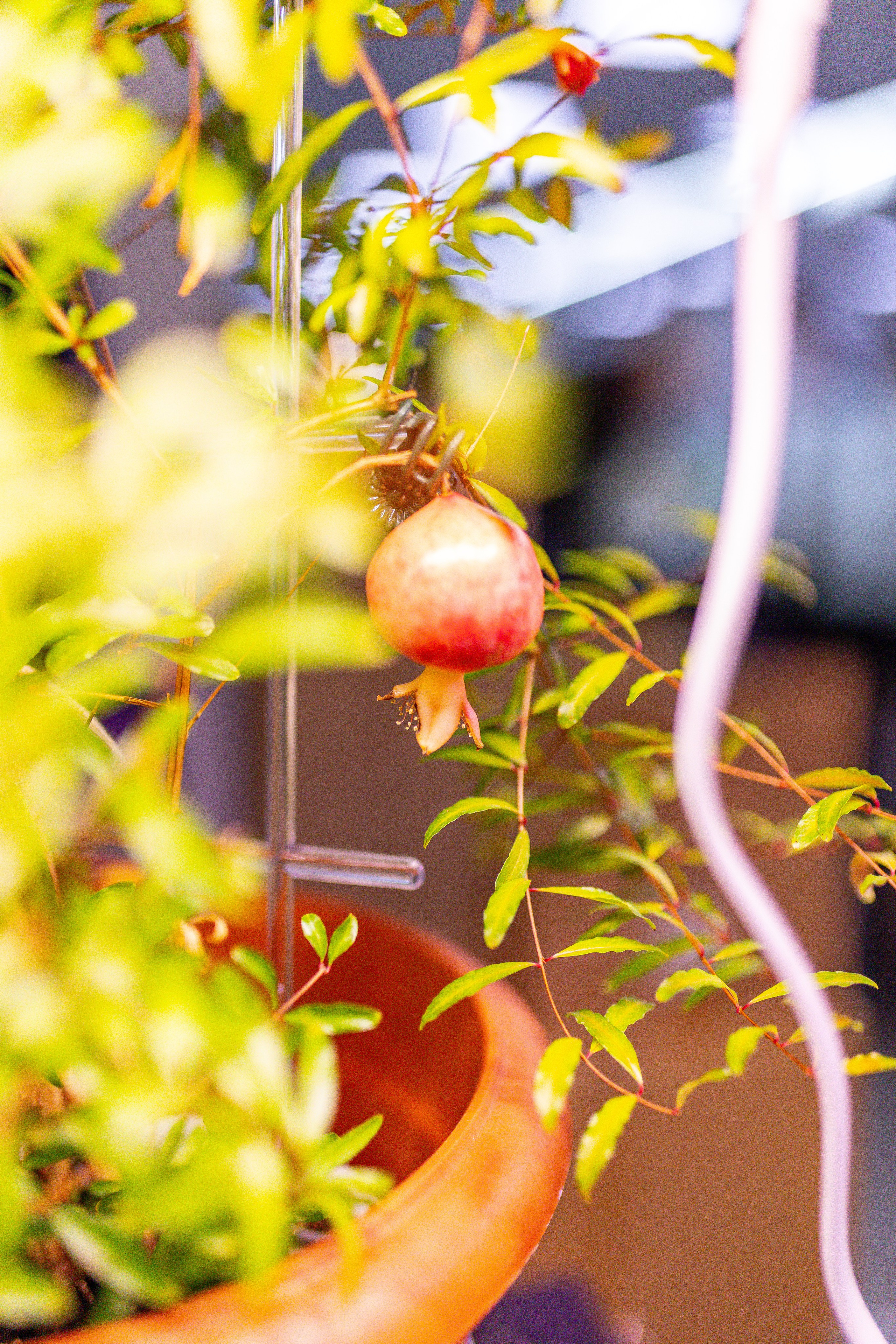 Монстериум 11–12 октября. Александра Куликова фотограф, Москва