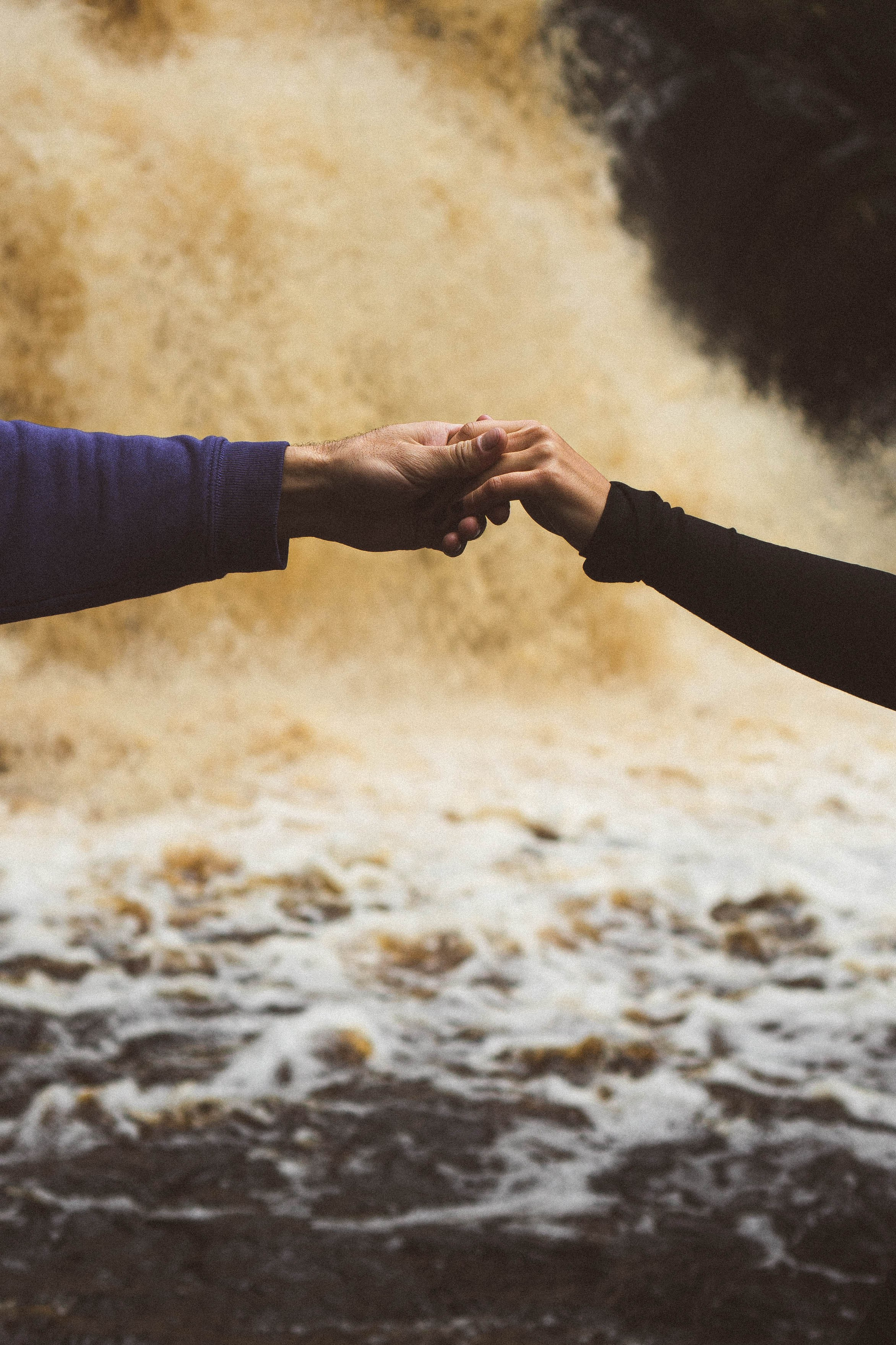Прогулка на природе. Профессиональный фотограф, Санкт-Петербург — Виктория Богомолова