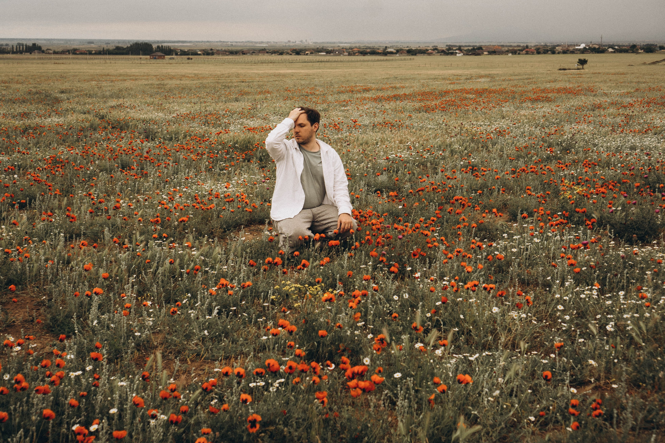 Маки. Профессиональный фотограф, Санкт-Петербург — Виктория Богомолова
