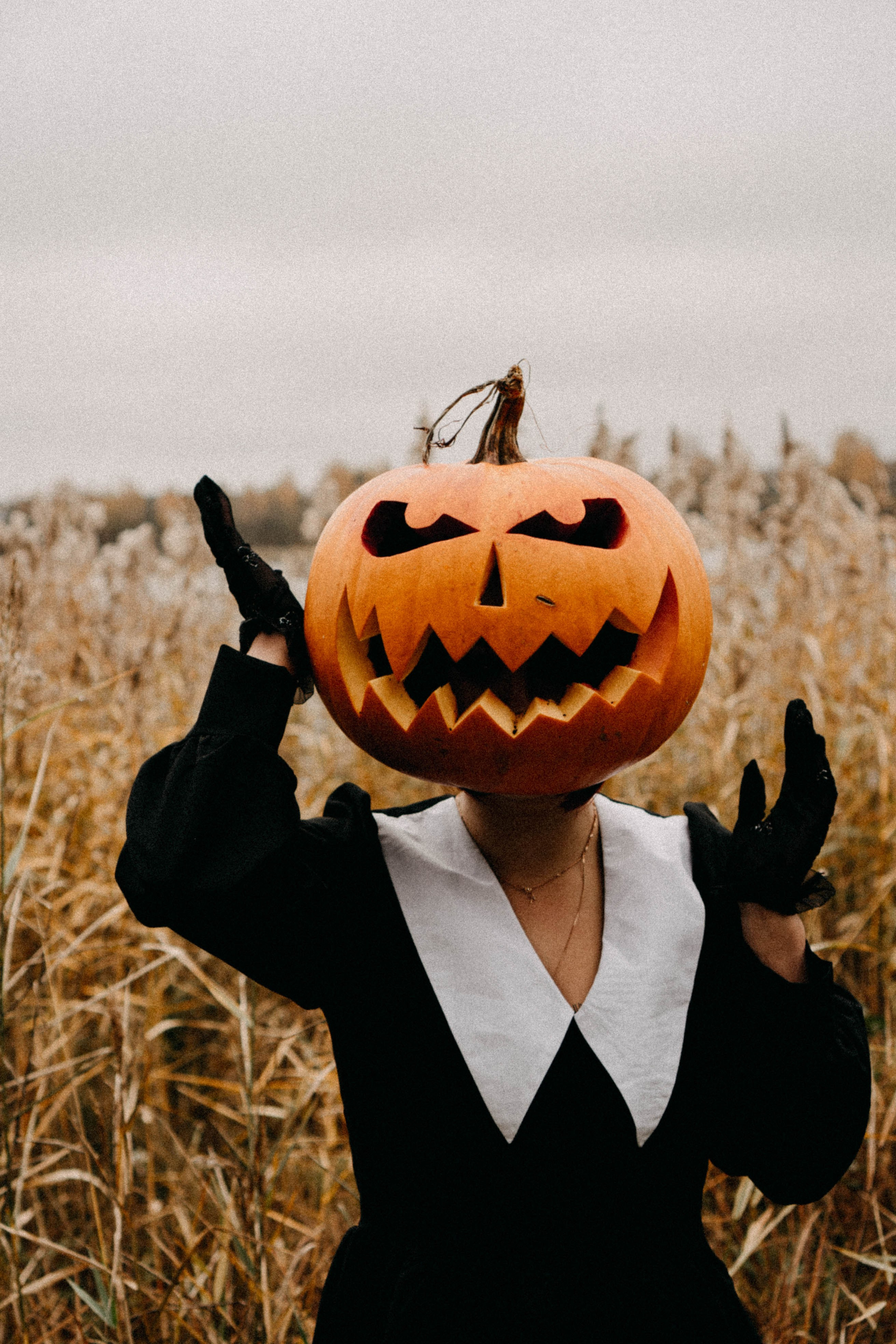 Осеняя. Профессиональный фотограф, Санкт-Петербург — Виктория Богомолова