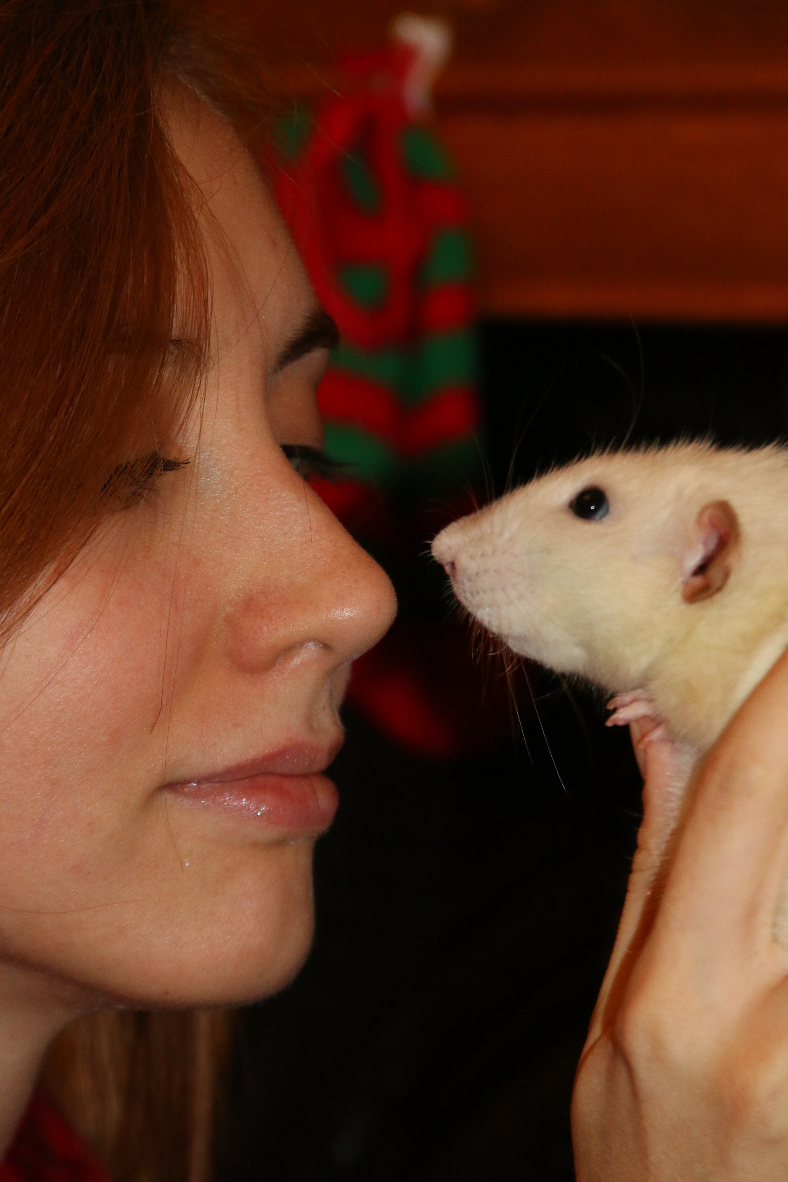 Съемка с питомцем